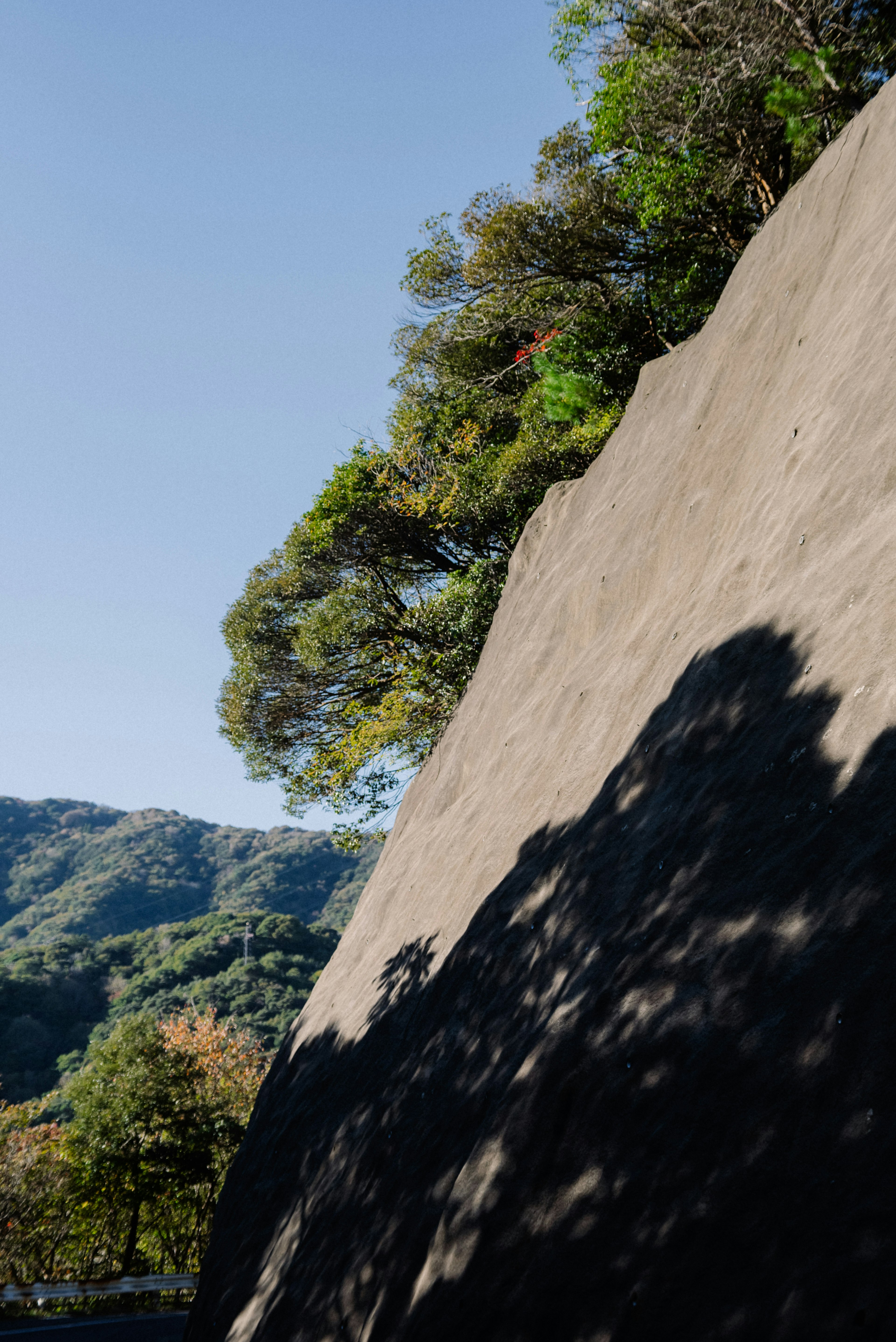 Pendiente rocosa suave bajo árboles verdes y cielo azul proyectando sombras