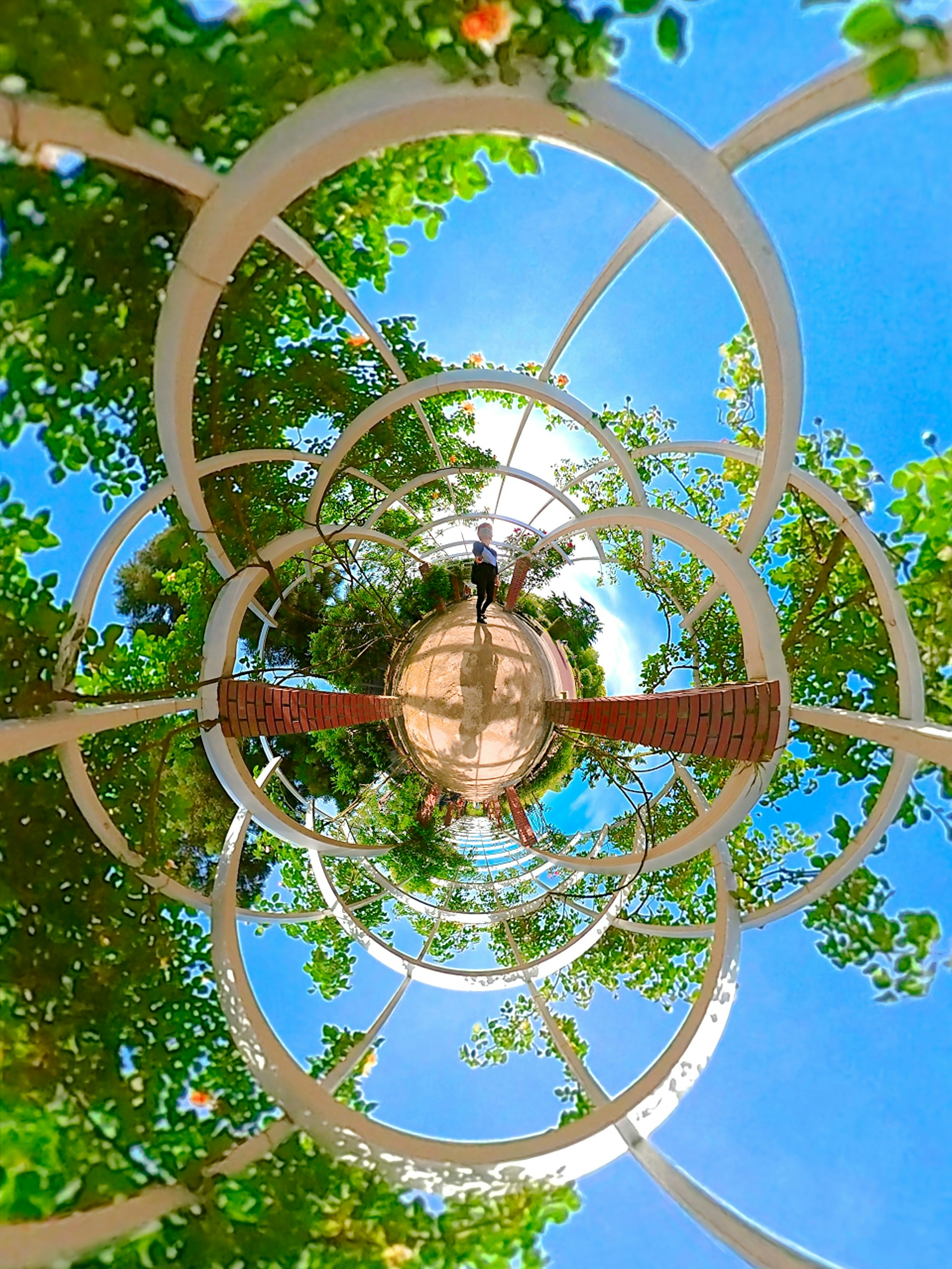 A scenic view of a park featuring circular arches surrounded by lush greenery