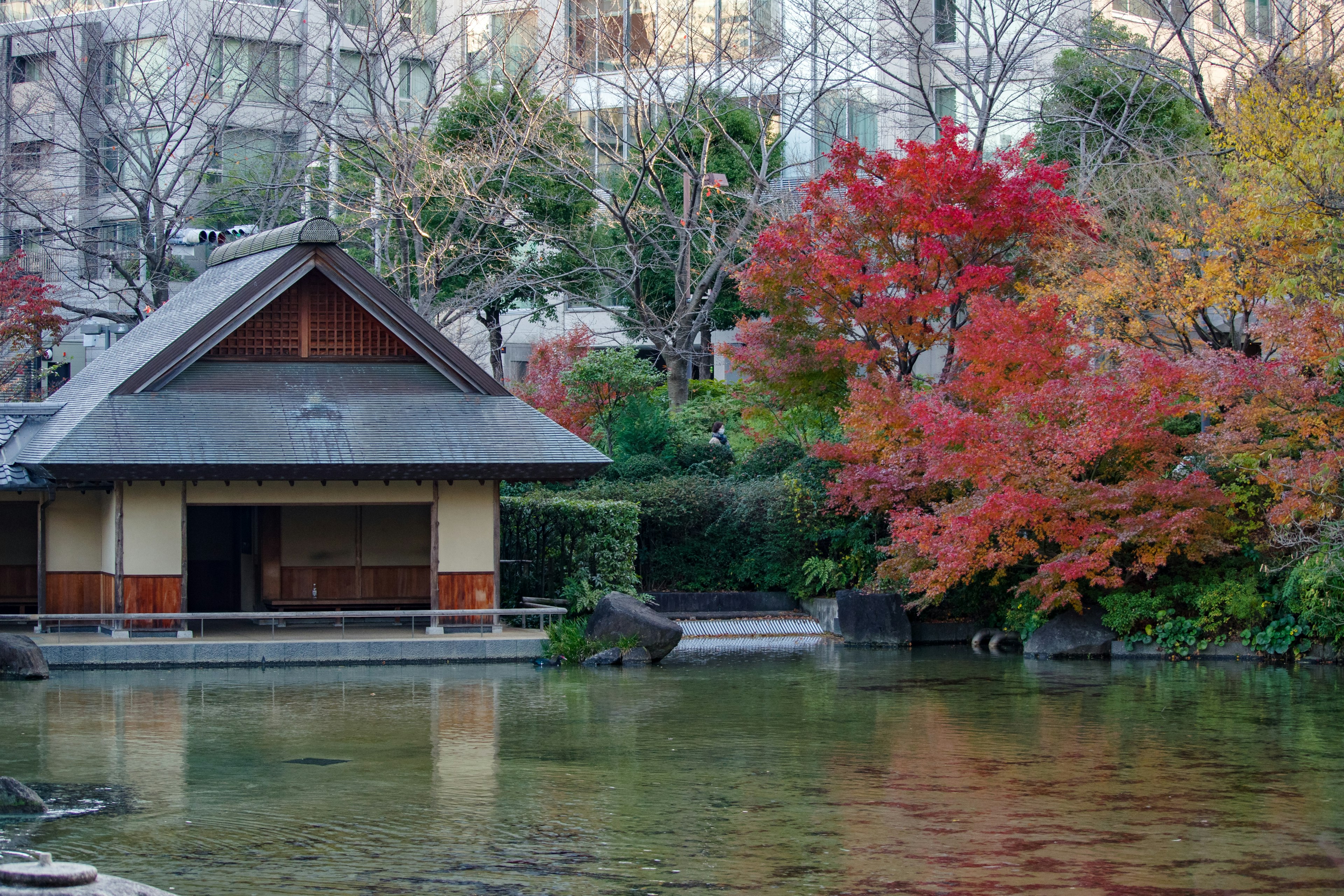 Maison japonaise traditionnelle au bord d'un étang entourée de feuillage d'automne