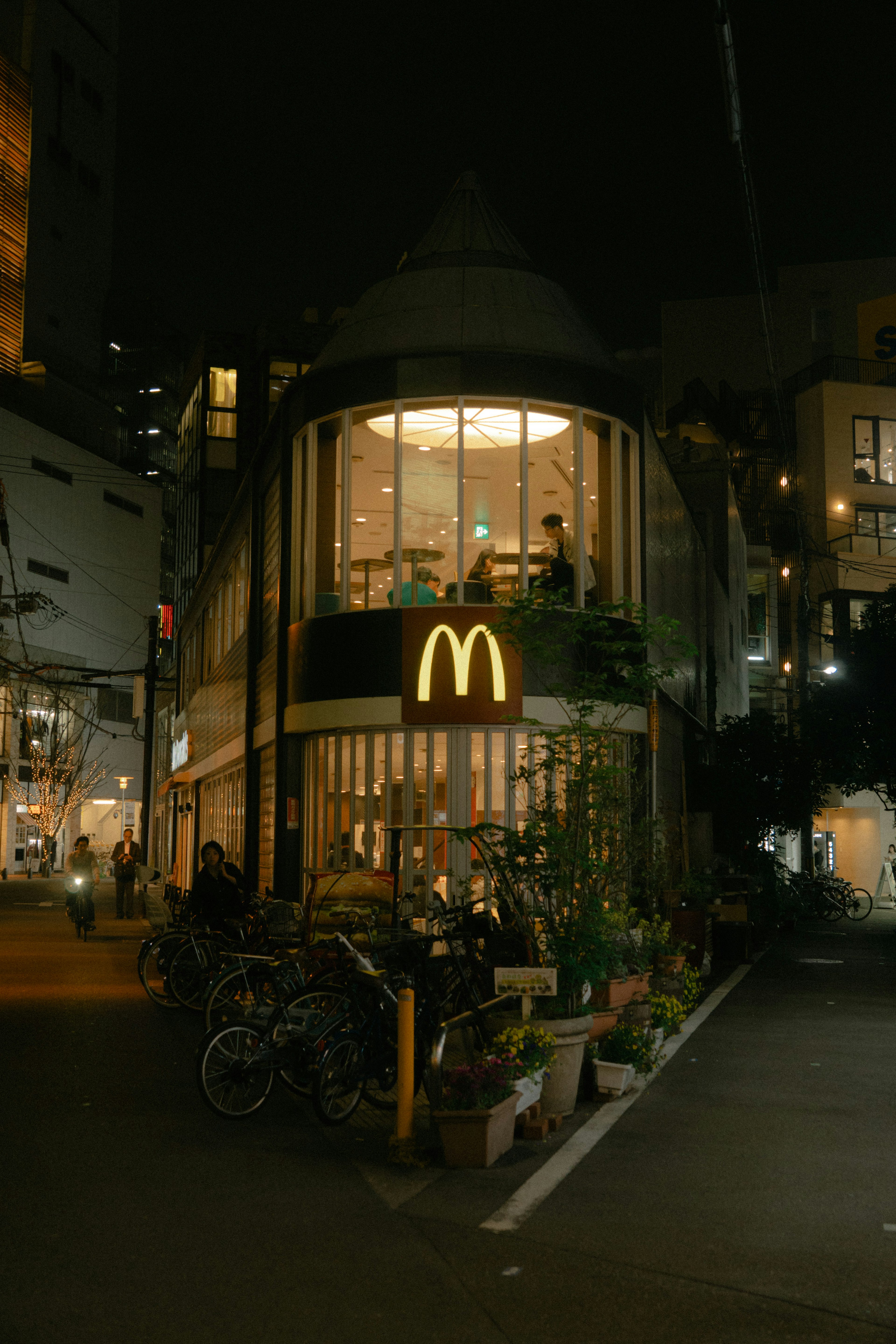 Night view of a McDonald's restaurant exterior with plants at the entrance