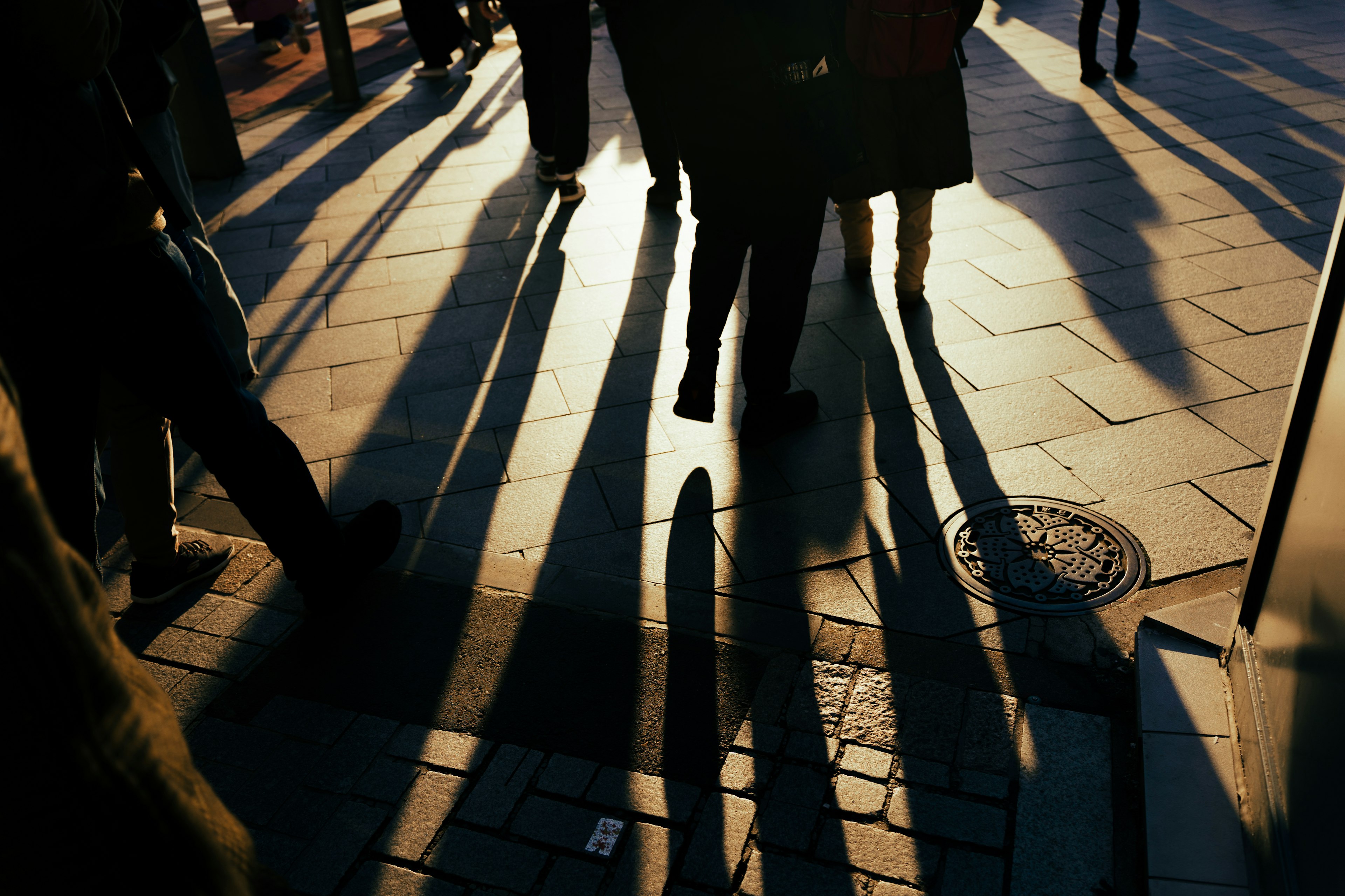 Silhouettes of people casting long shadows on the pavement