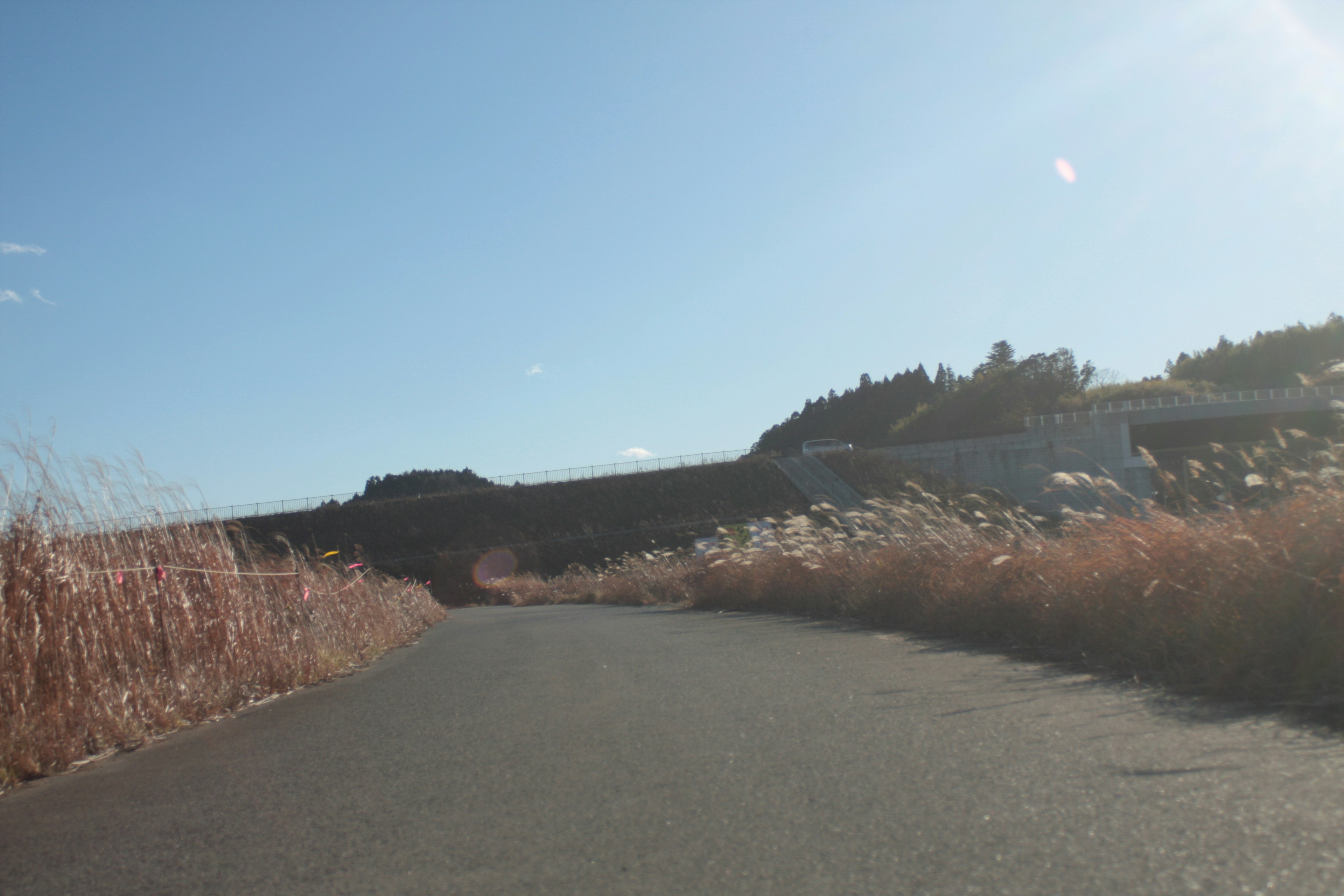 Road under blue sky surrounded by grass