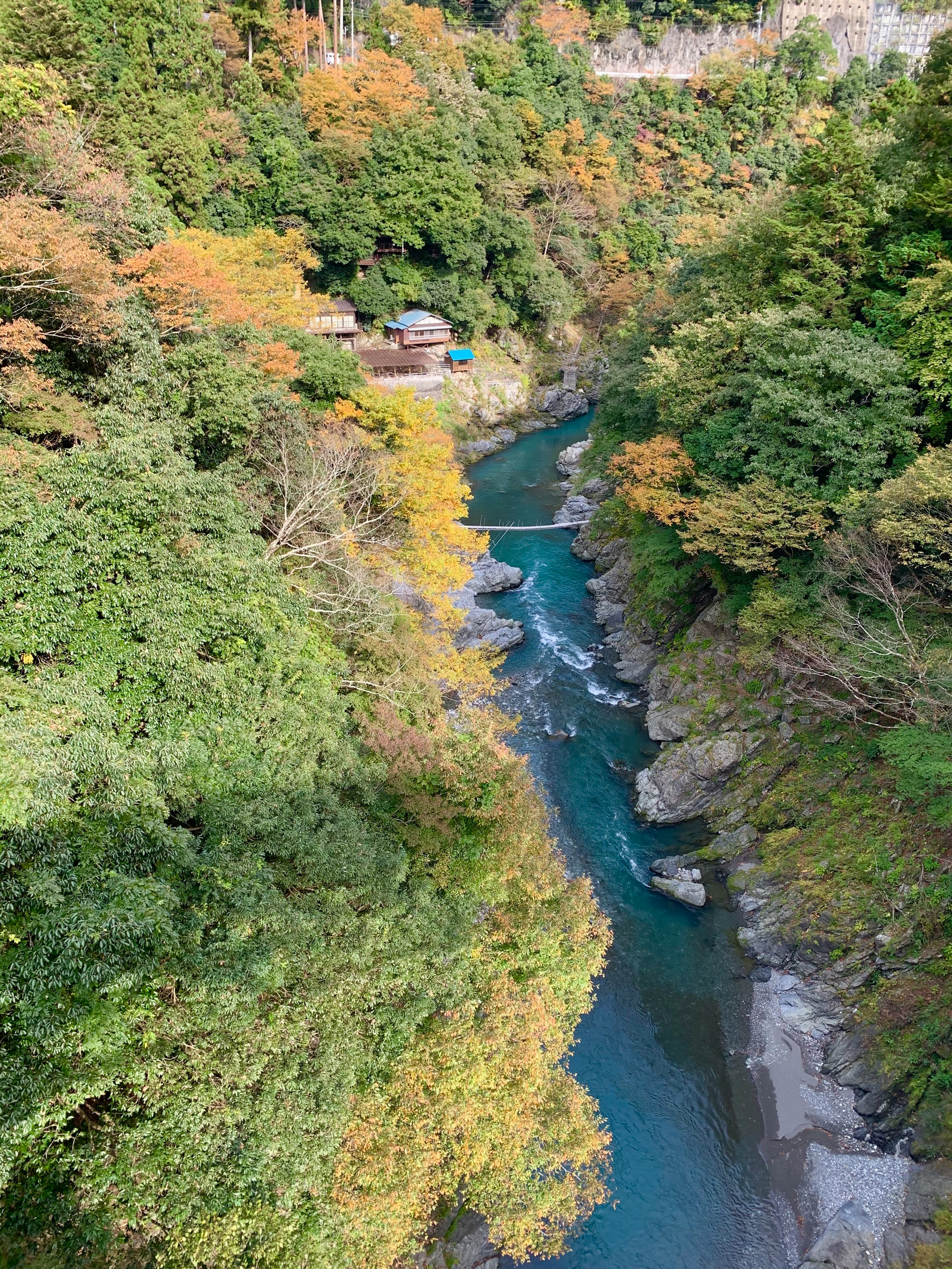 緑豊かな森に囲まれた清流と岩の景色