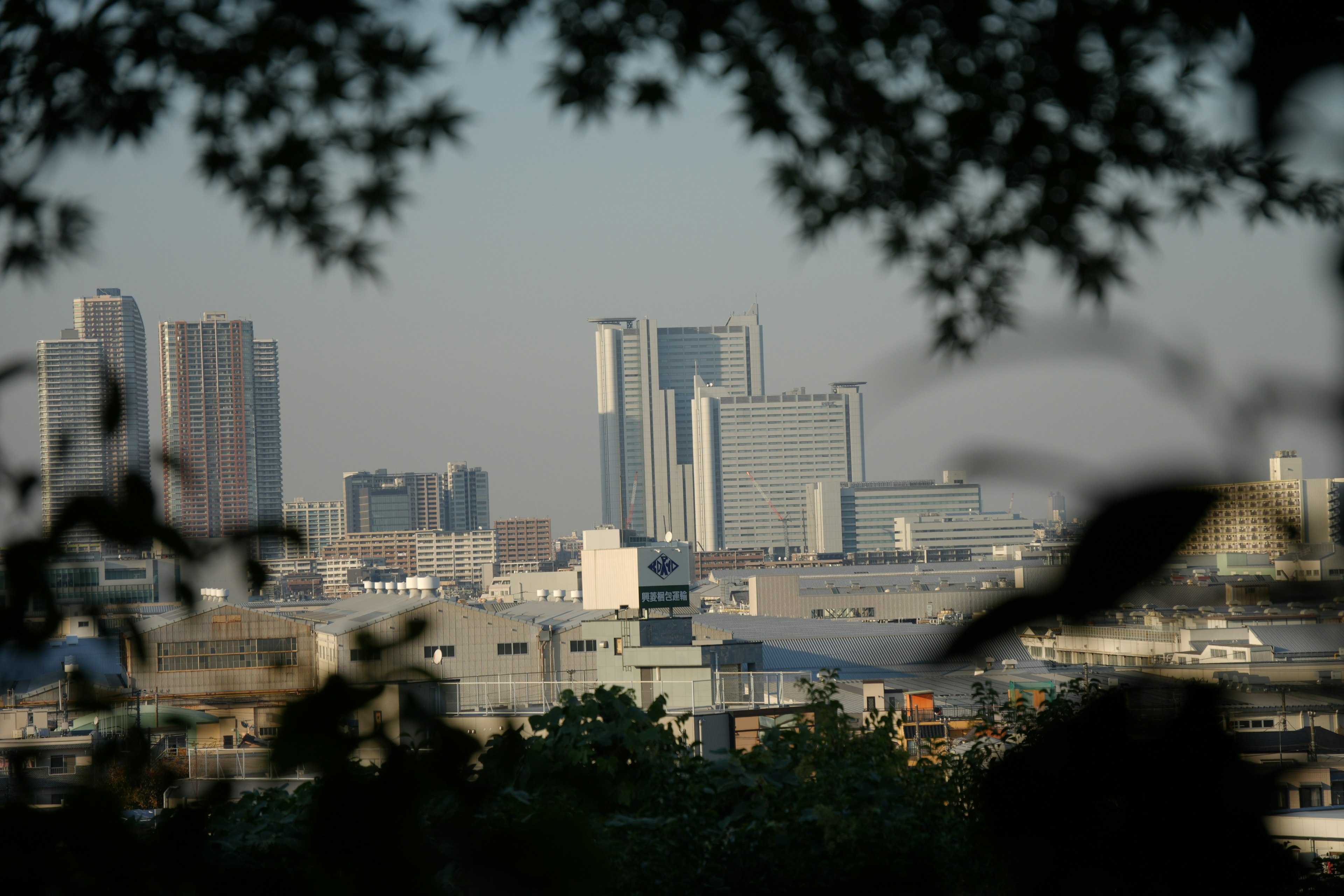 Horizonte urbano enmarcado por hojas verdes