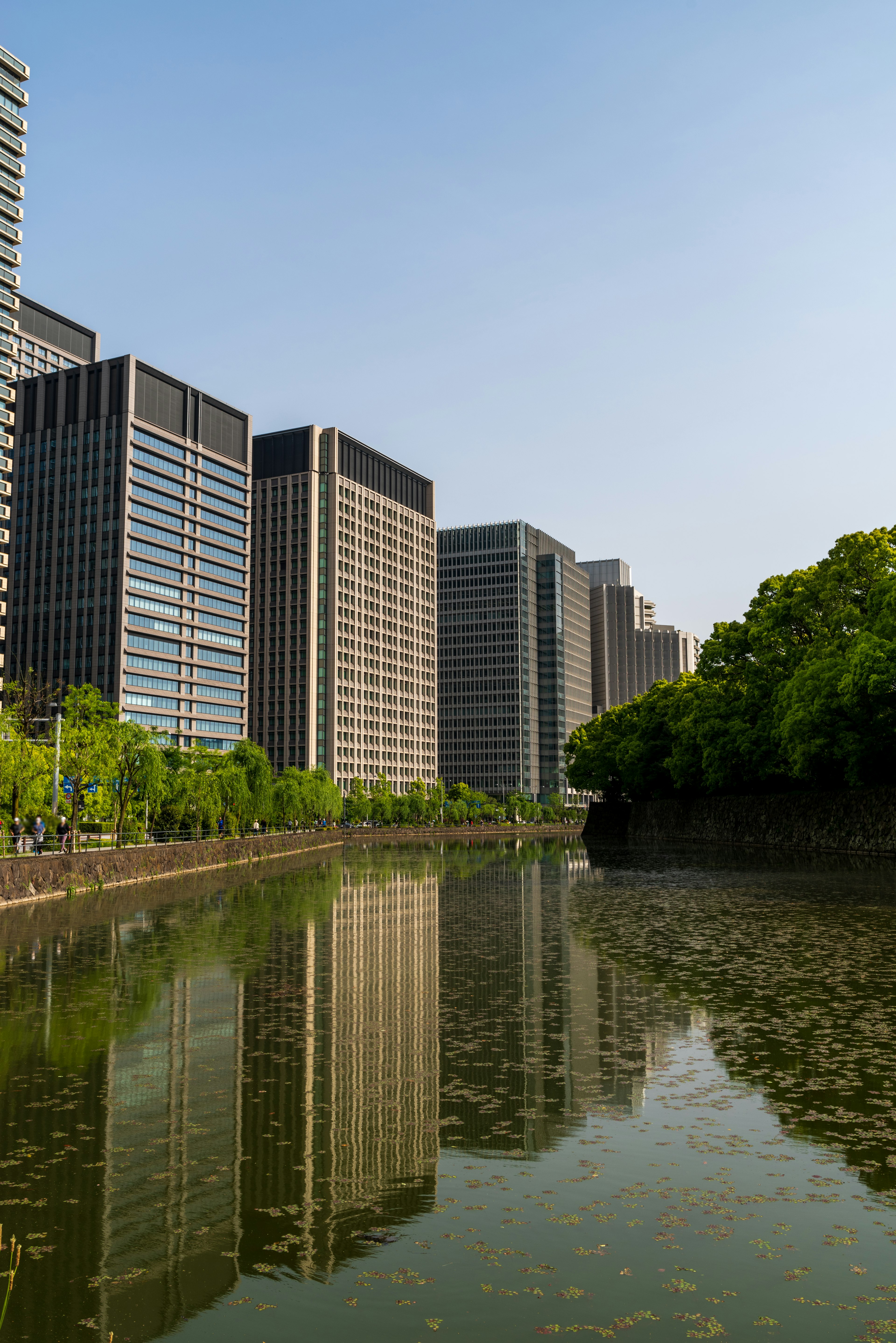 城市天际线，现代建筑倒映在周围绿树的平静水面上