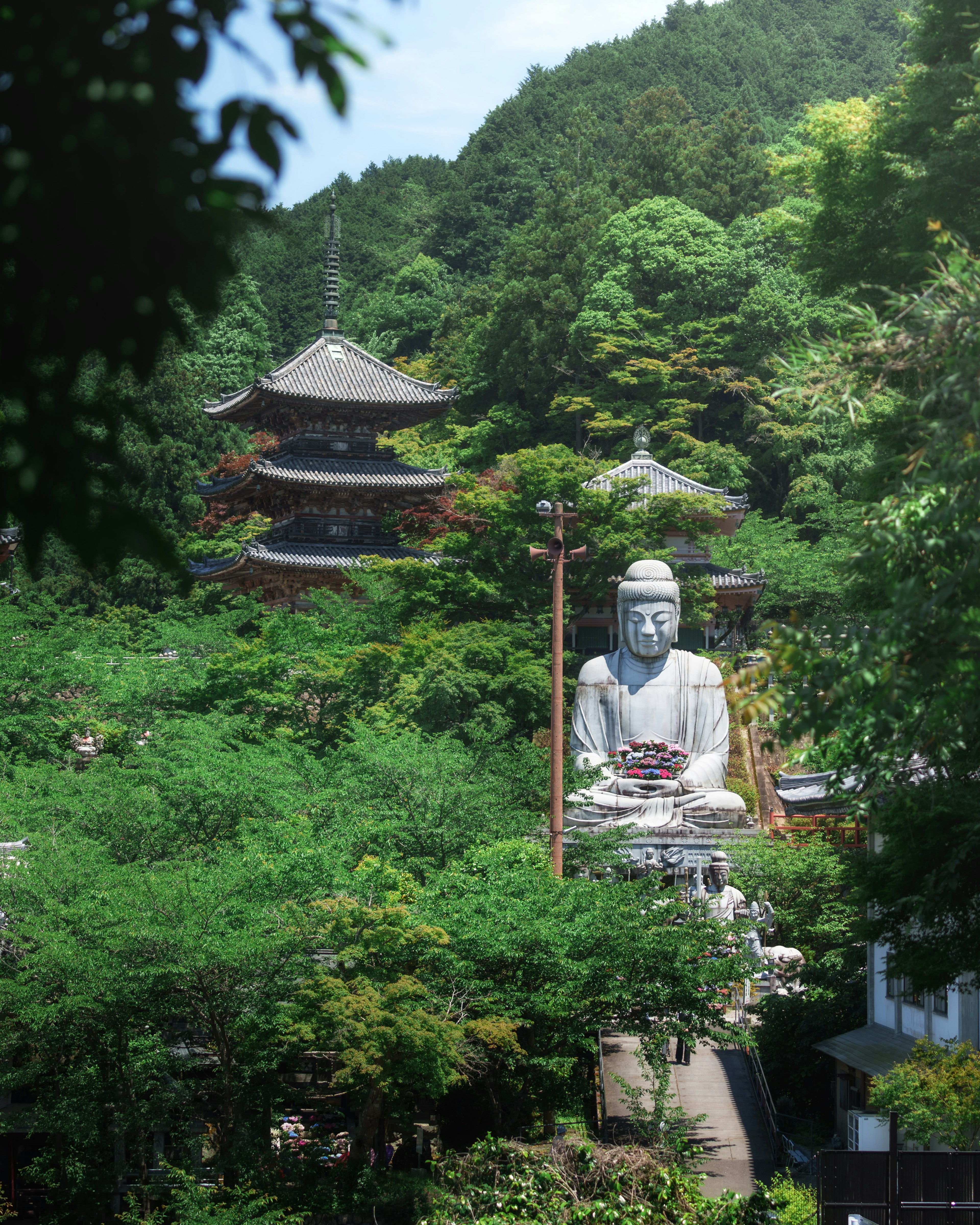 A serene view of a Buddha statue surrounded by lush greenery and a traditional Japanese temple in the background