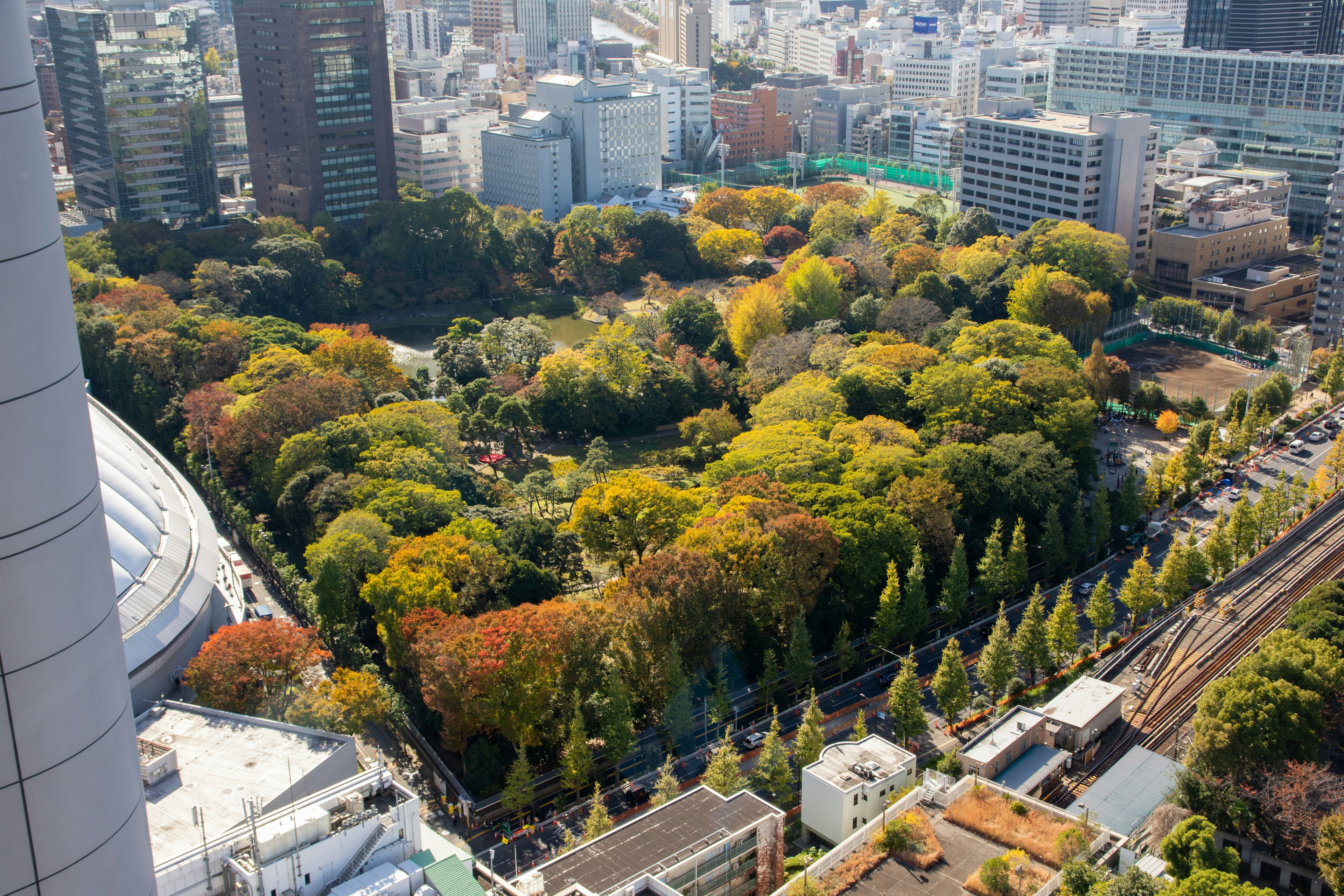 Vista aérea de un parque en Tokio durante el otoño con una mezcla de follaje verde y naranja