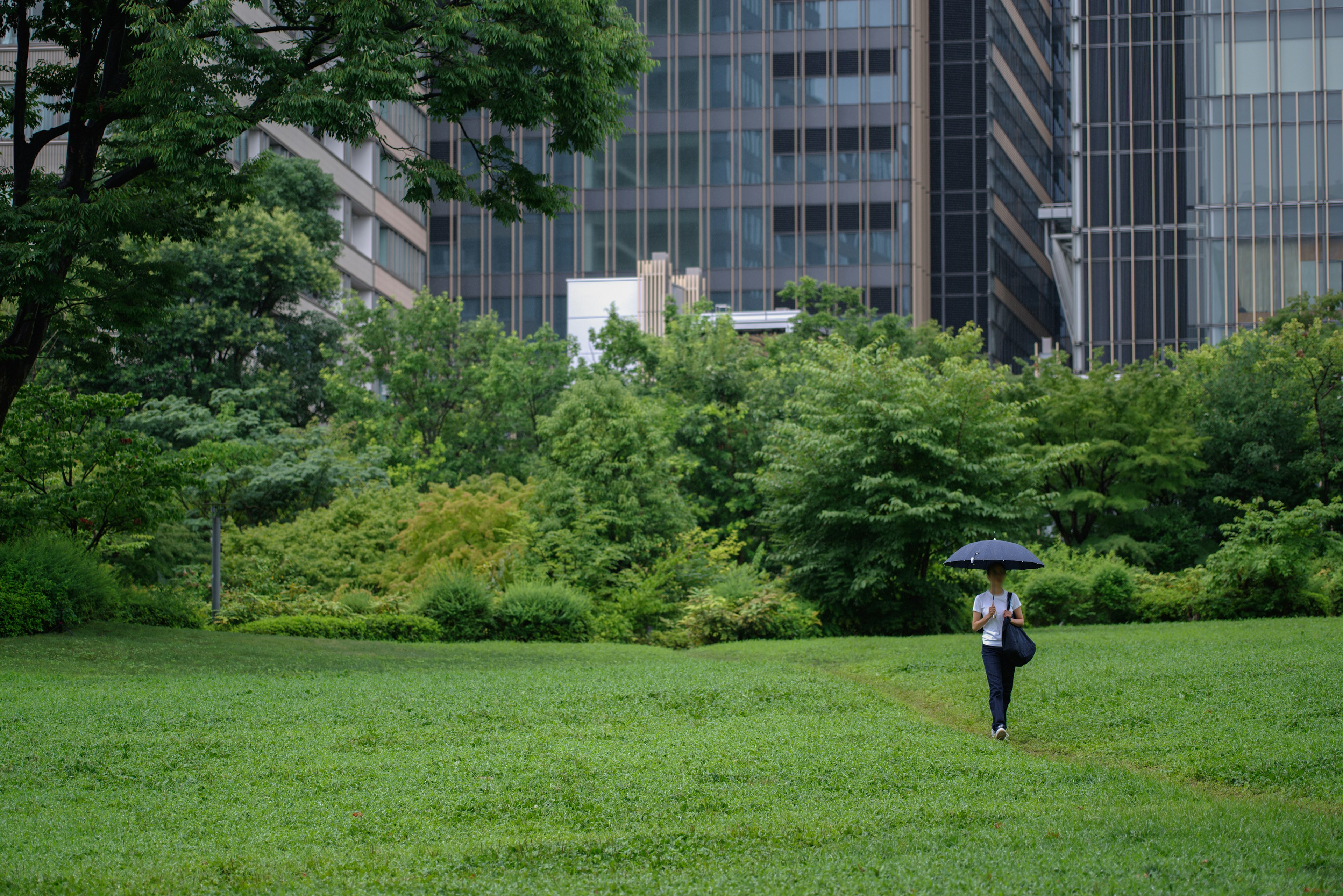 緑の草地を歩く傘を持った人と高層ビルの背景