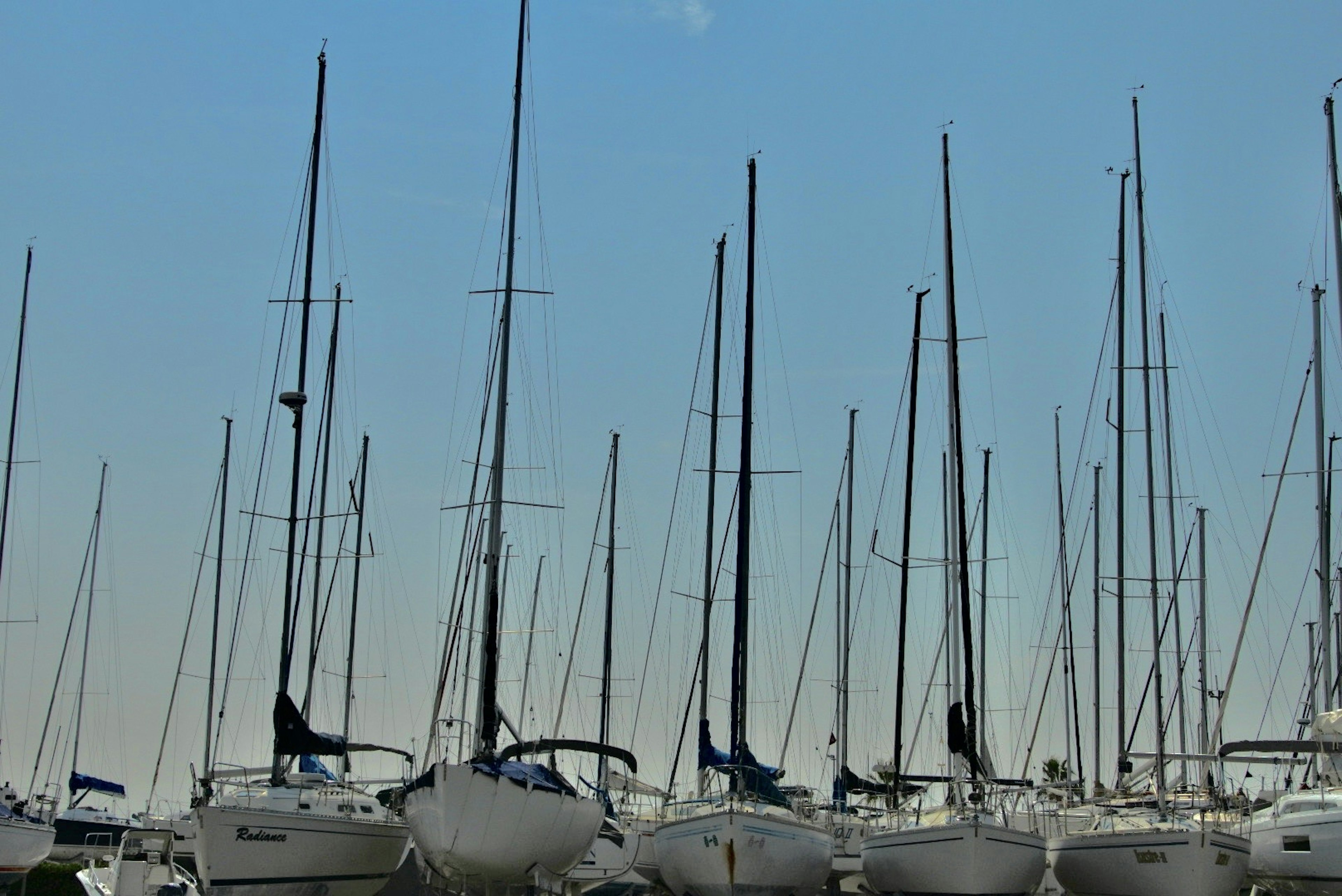 A view of sailboat masts against a blue sky