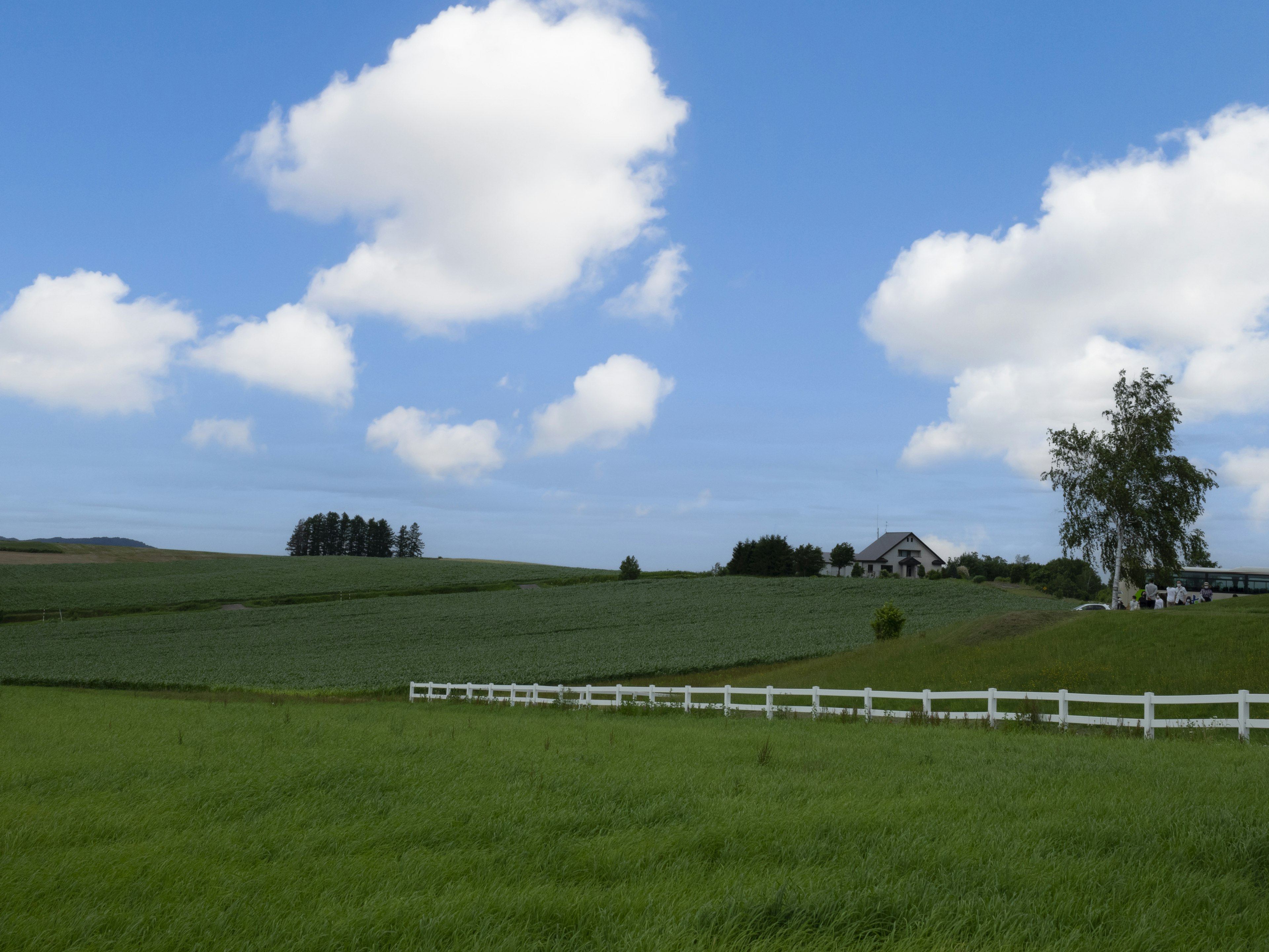 Un paesaggio con campi verdi e una recinzione bianca sotto un cielo blu con nuvole soffici