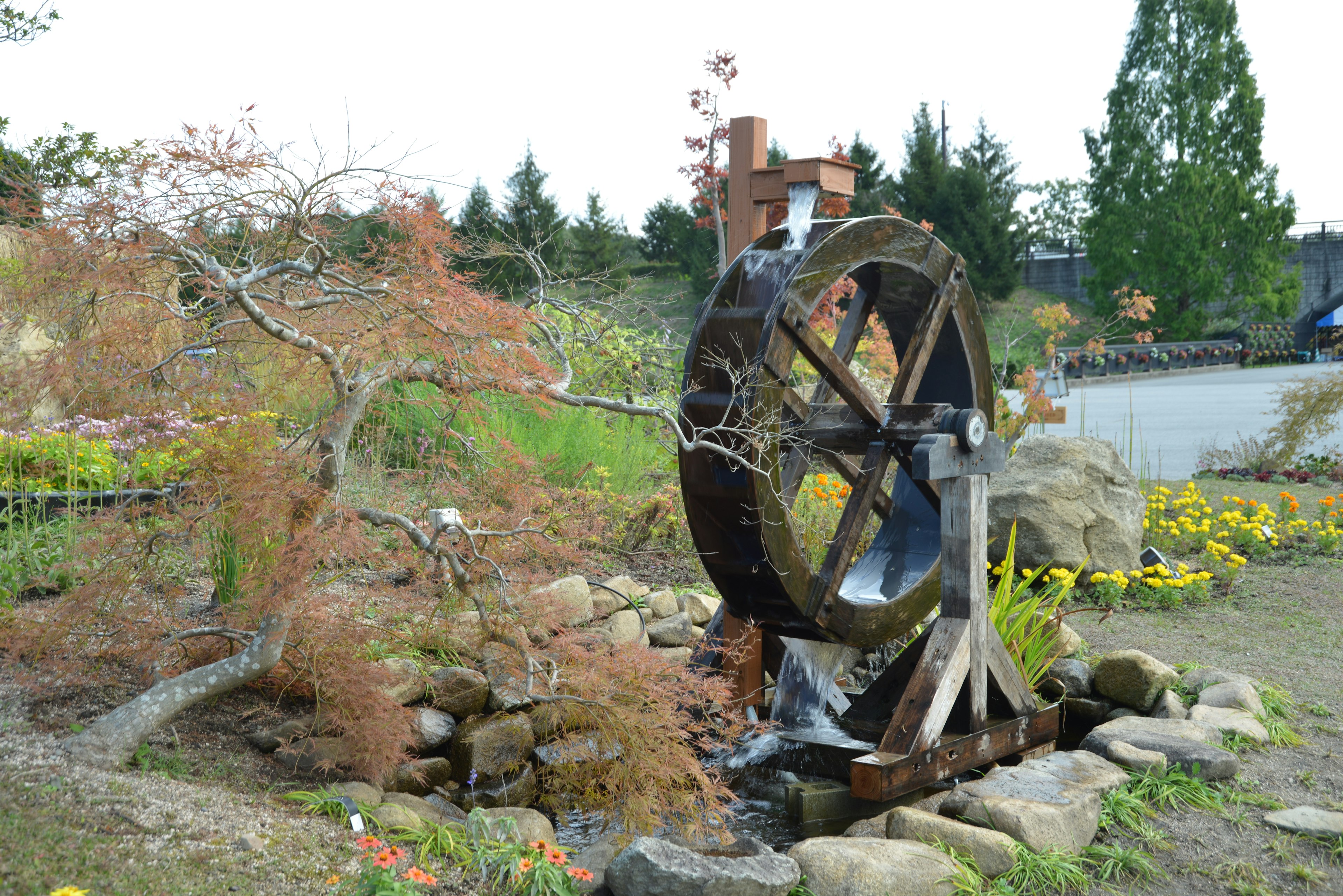 Water wheel in a garden with surrounding plants