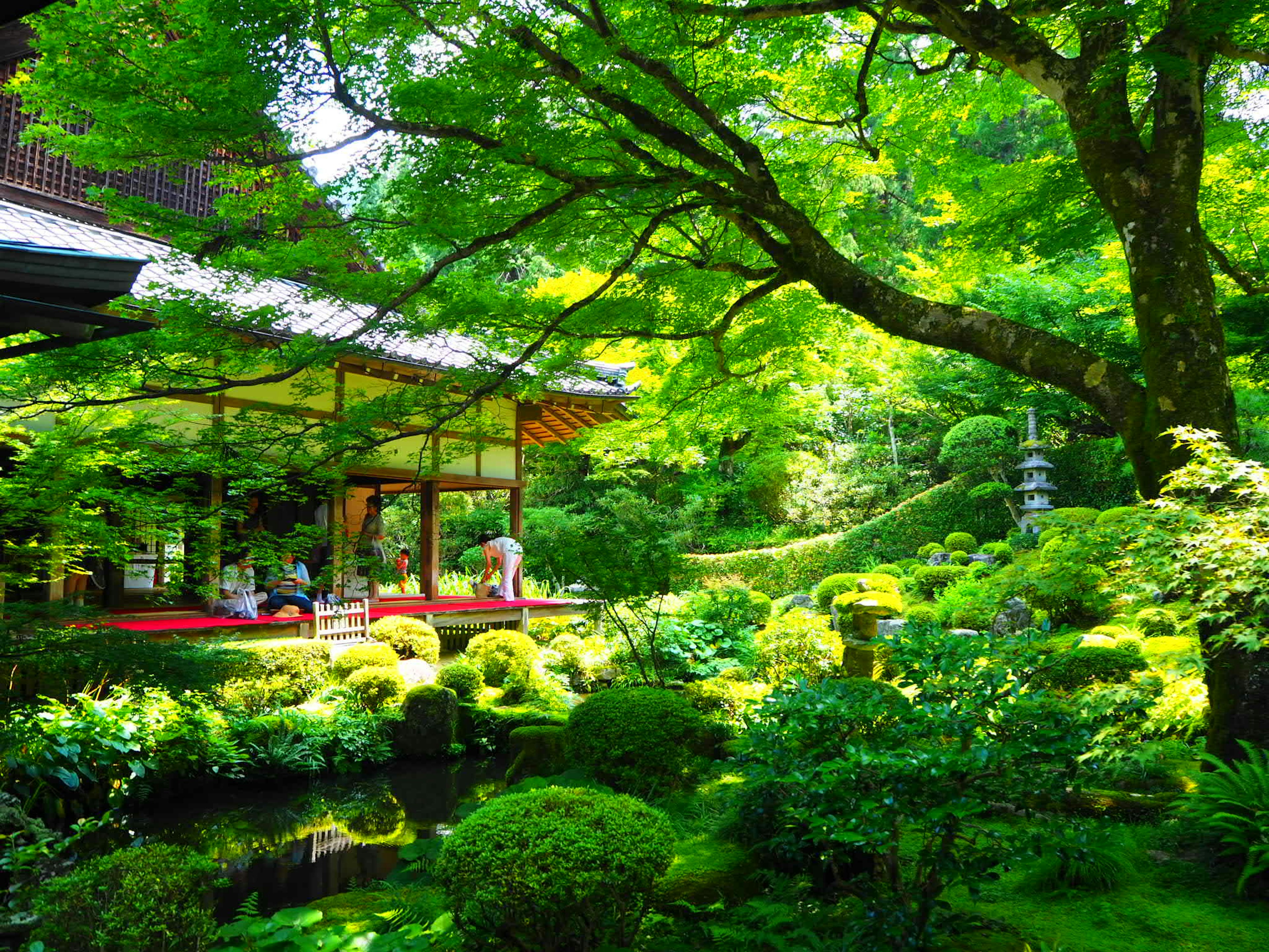 Jardin luxuriant avec bâtiment traditionnel et verdure