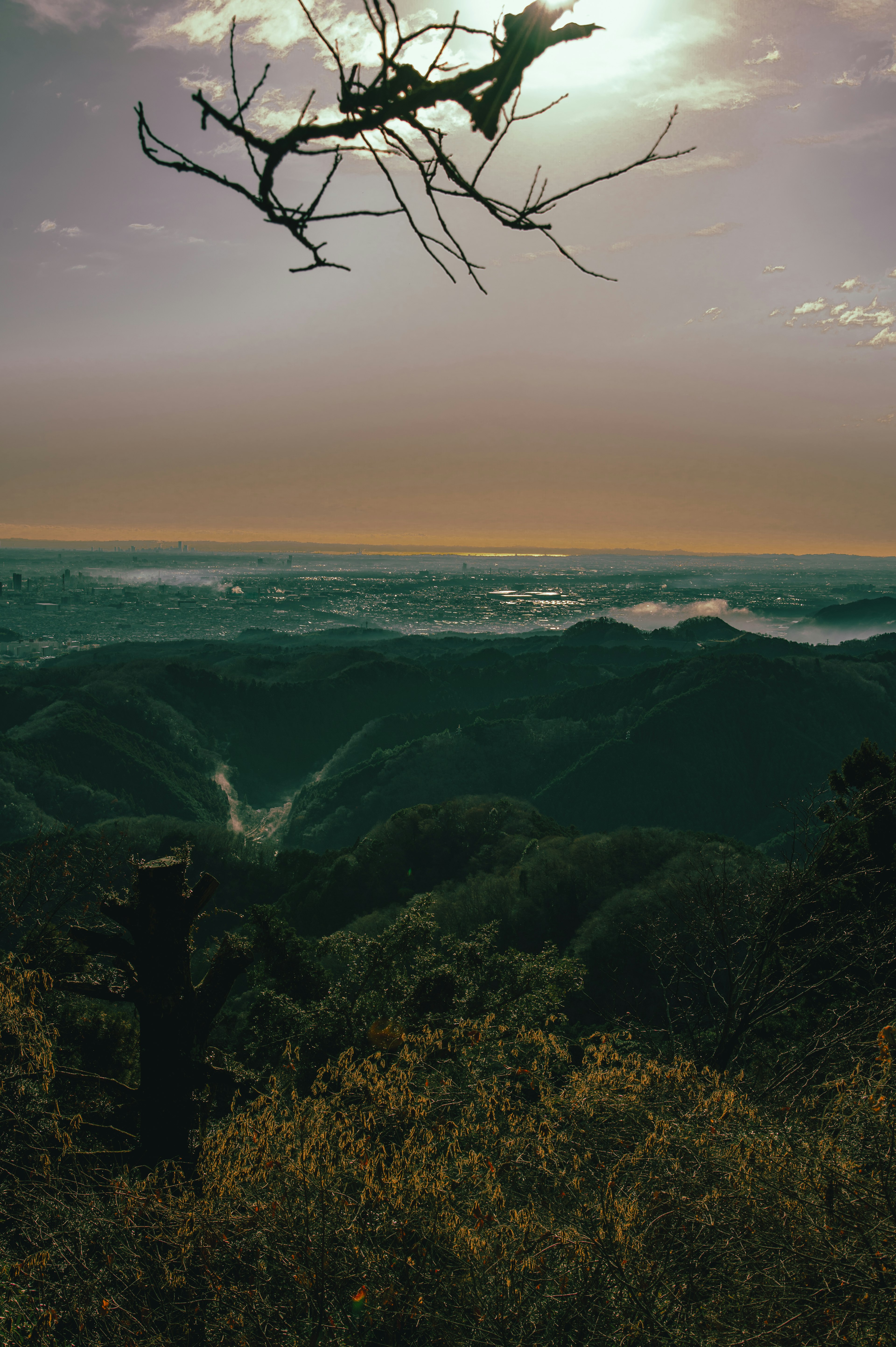 Vista escénica de montañas y cielo con una rama seca en primer plano