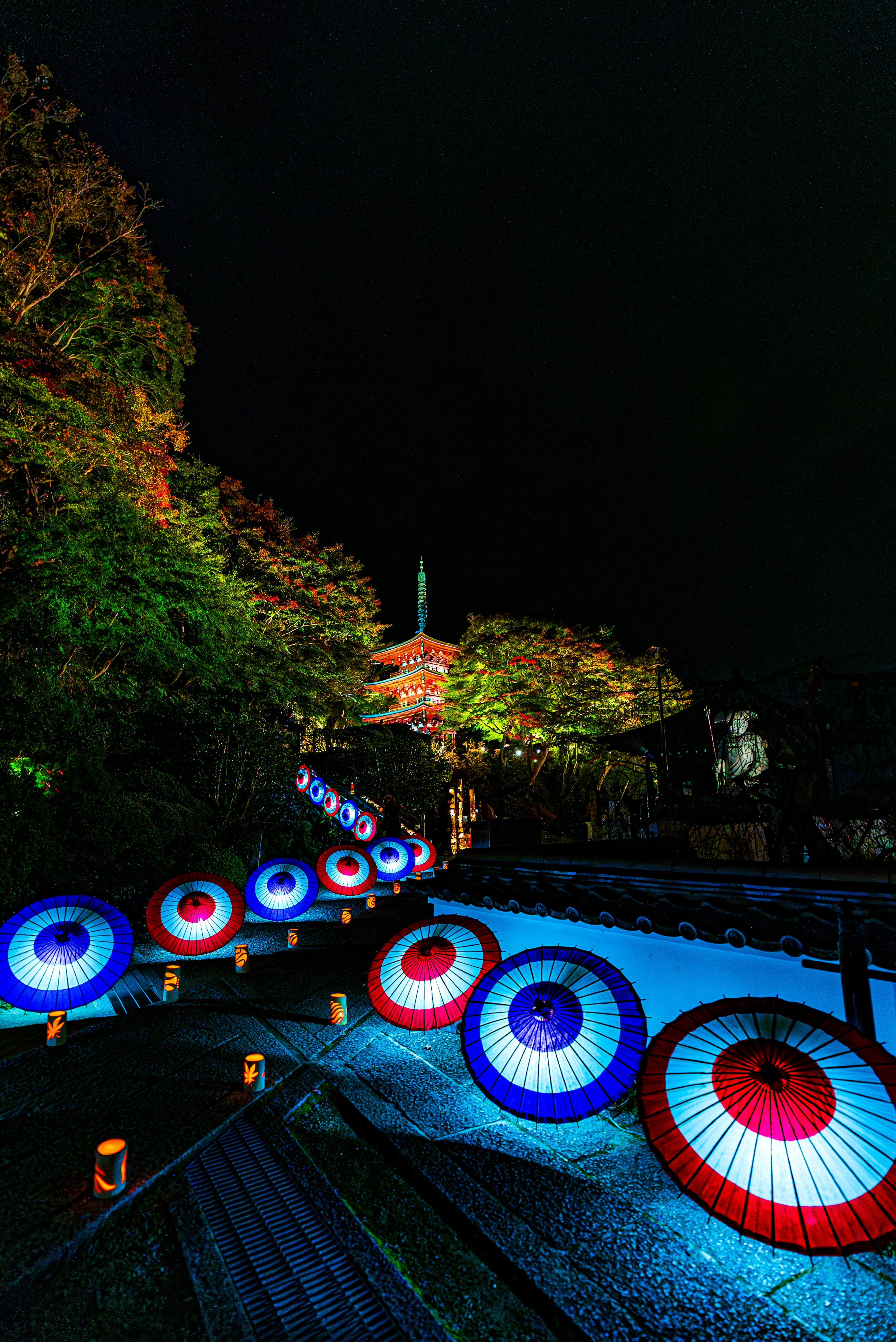 夜の風景に並ぶ色とりどりの傘とライトアップされた木々