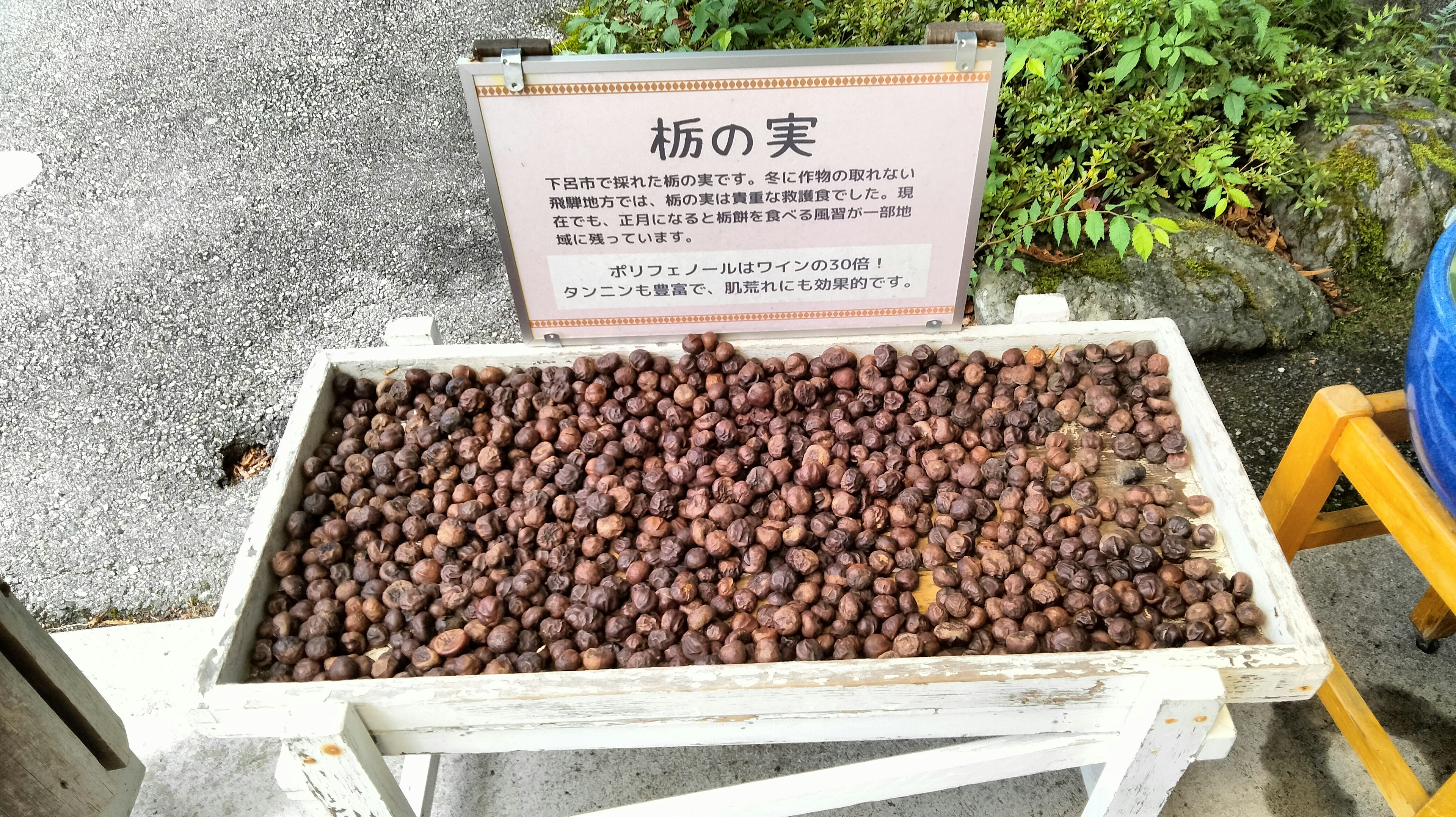 木の実がたくさん入った白い箱とその後ろにある看板