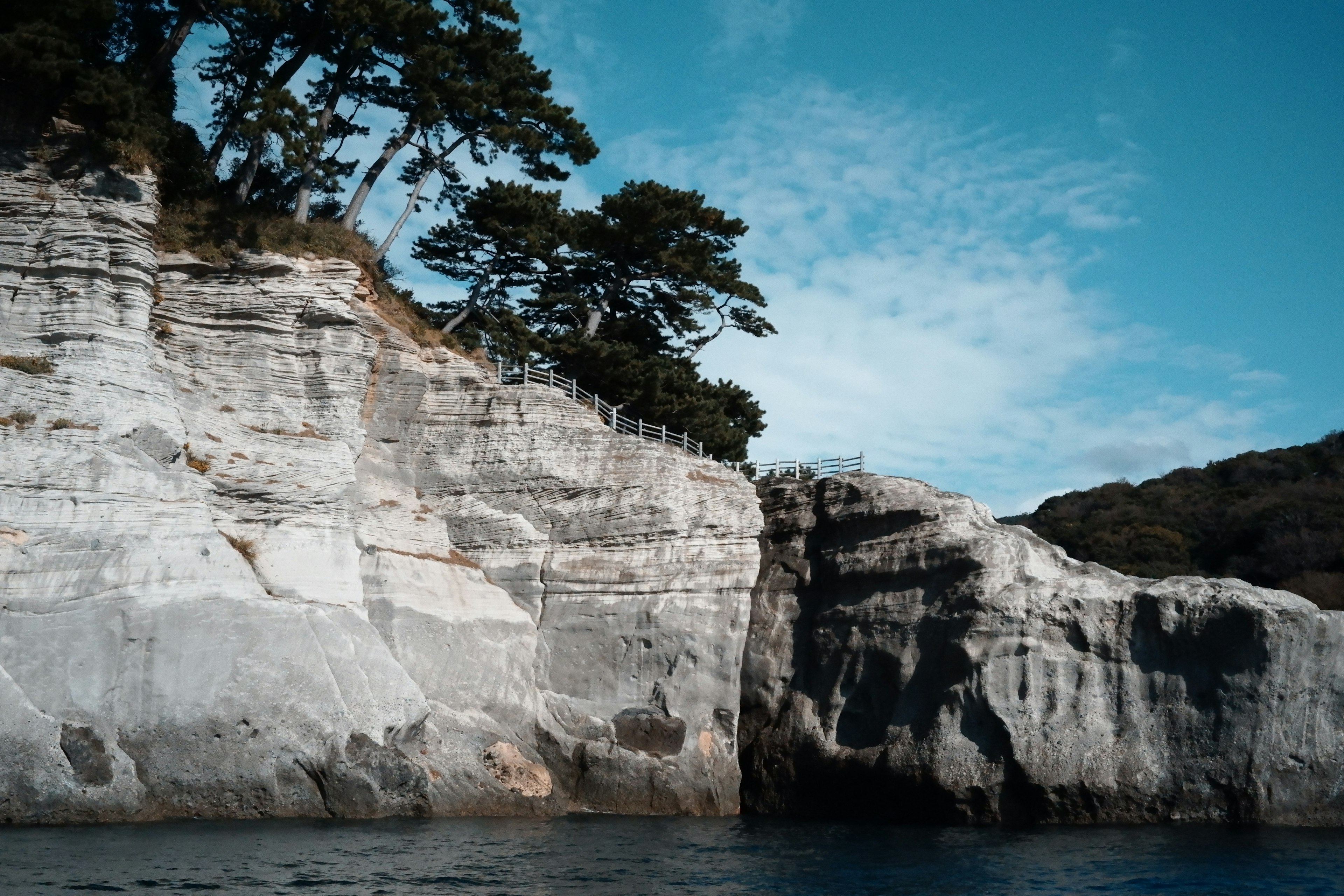 Paysage côtier avec des falaises et des arbres