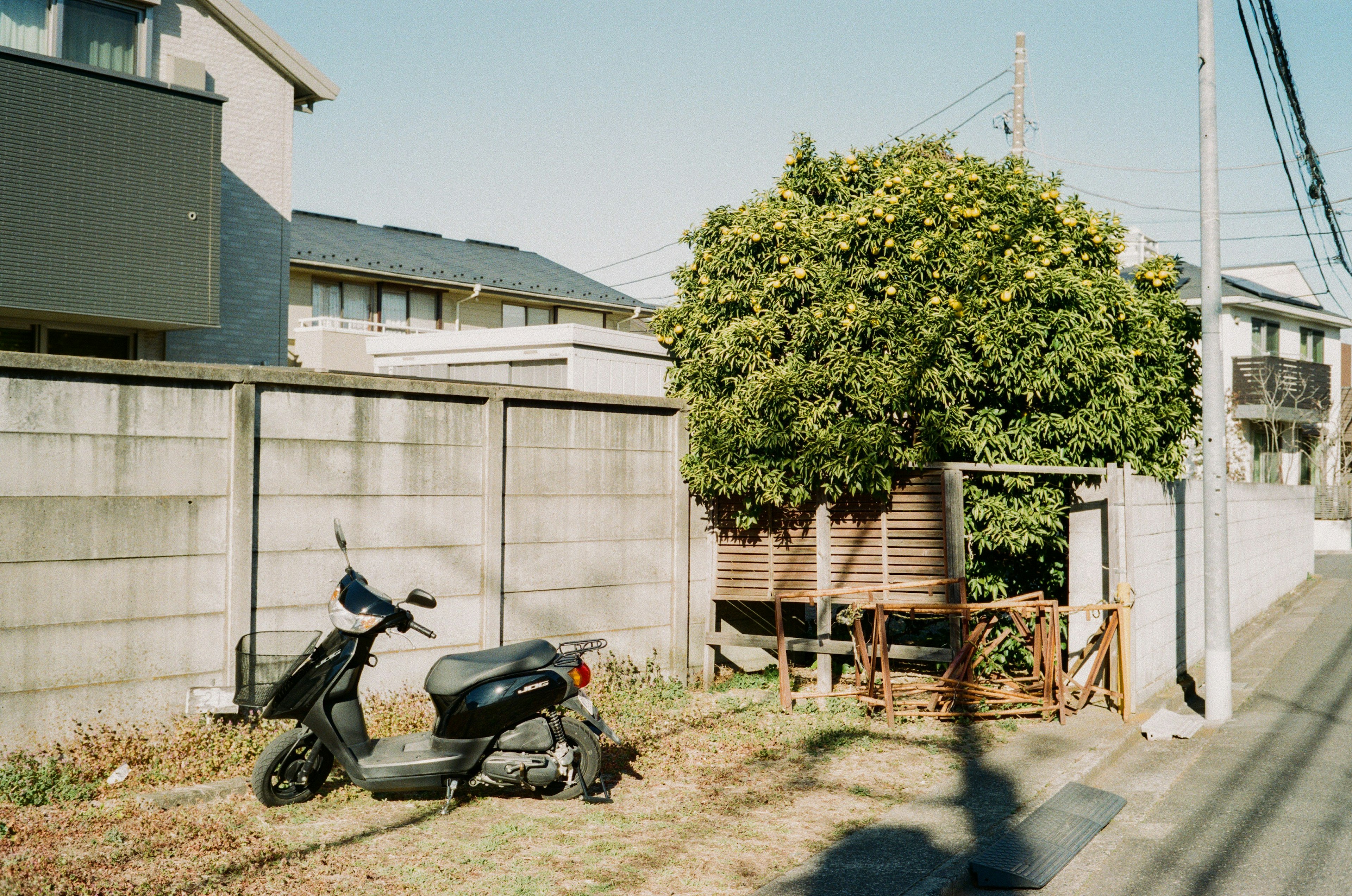 A quiet street scene featuring a tree with a beehive and a parked scooter