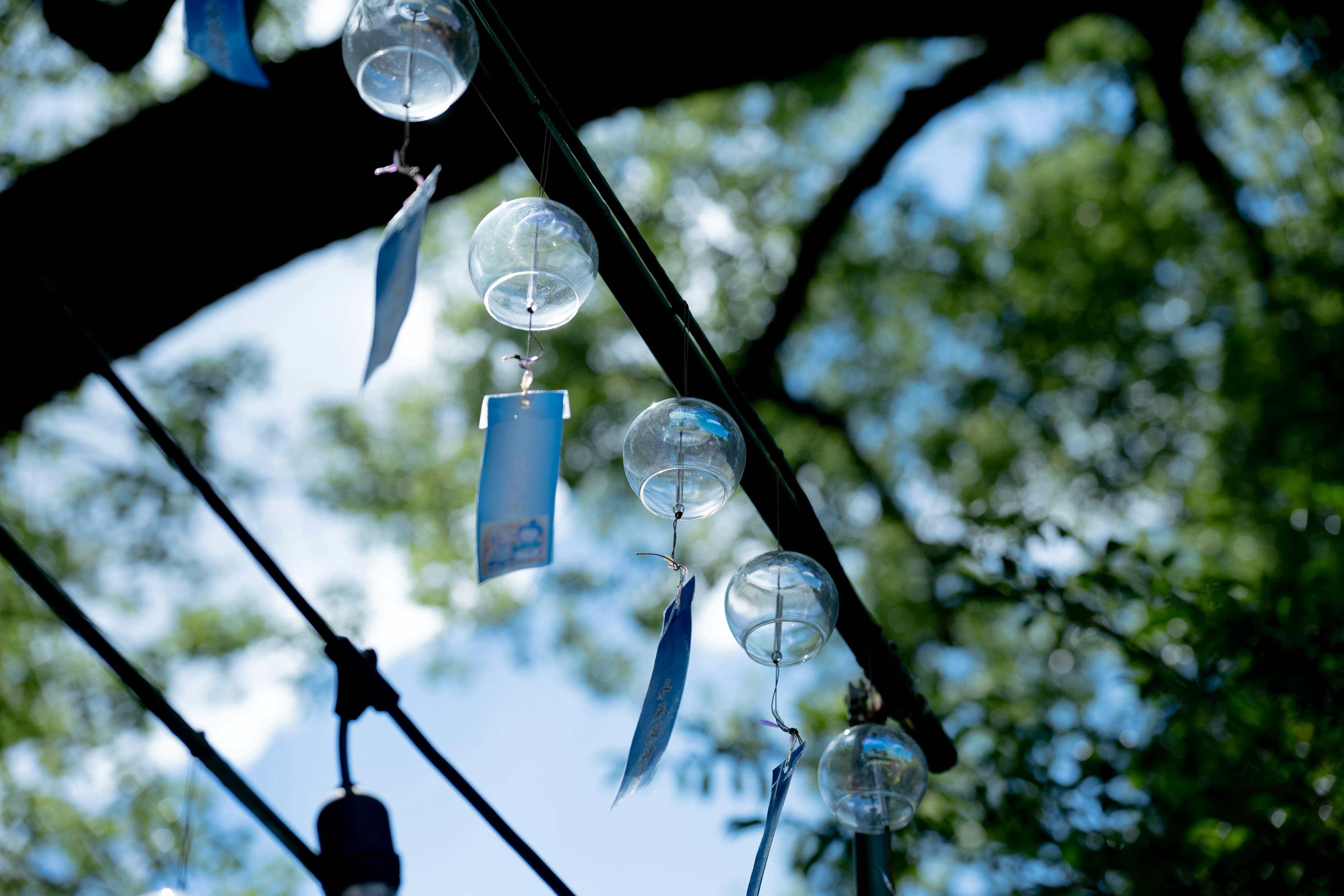 Clochettes et étiquettes bleues suspendues sous un ciel clair