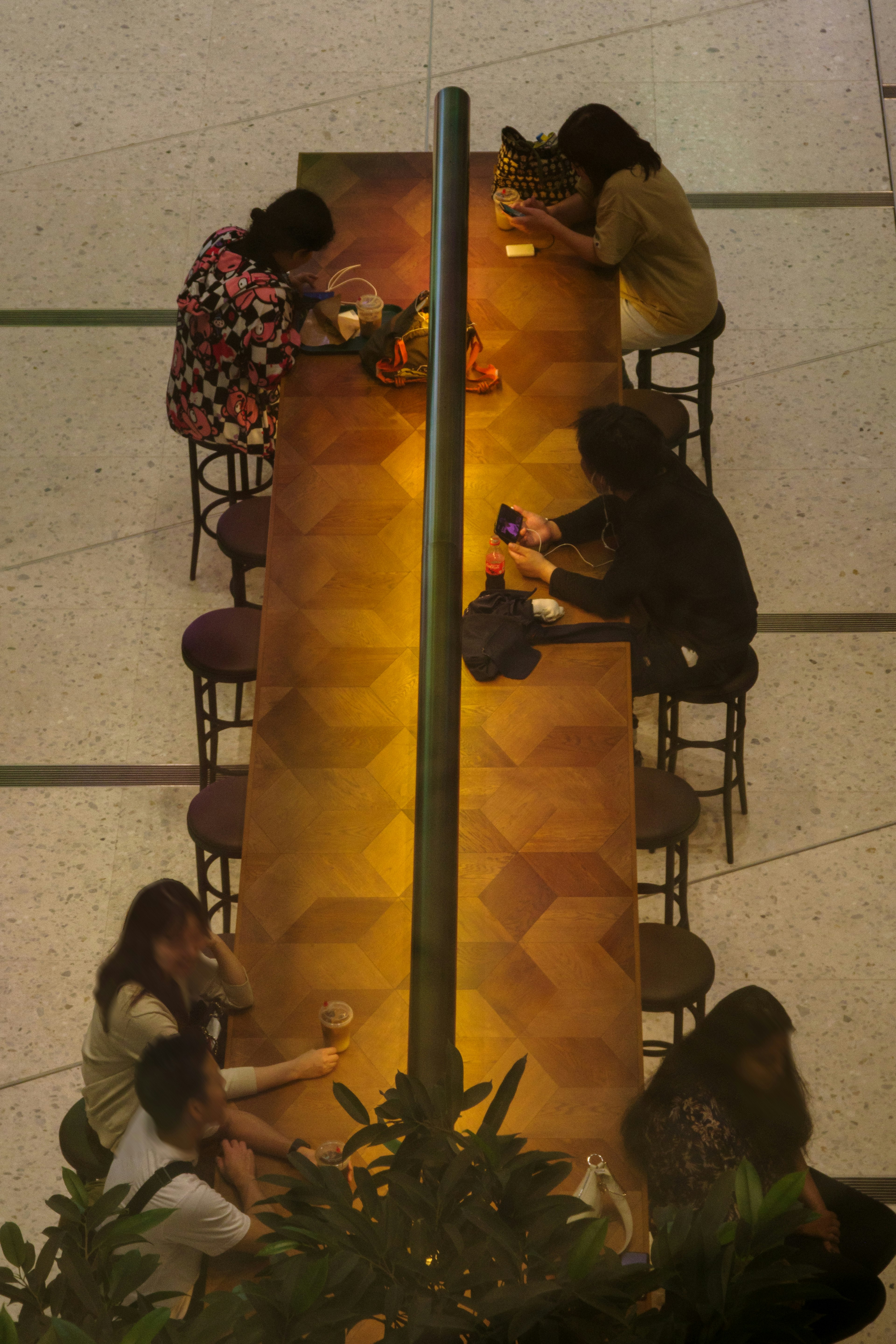 Aerial view of people sitting at a long table with warm lighting and green plants surrounding the area