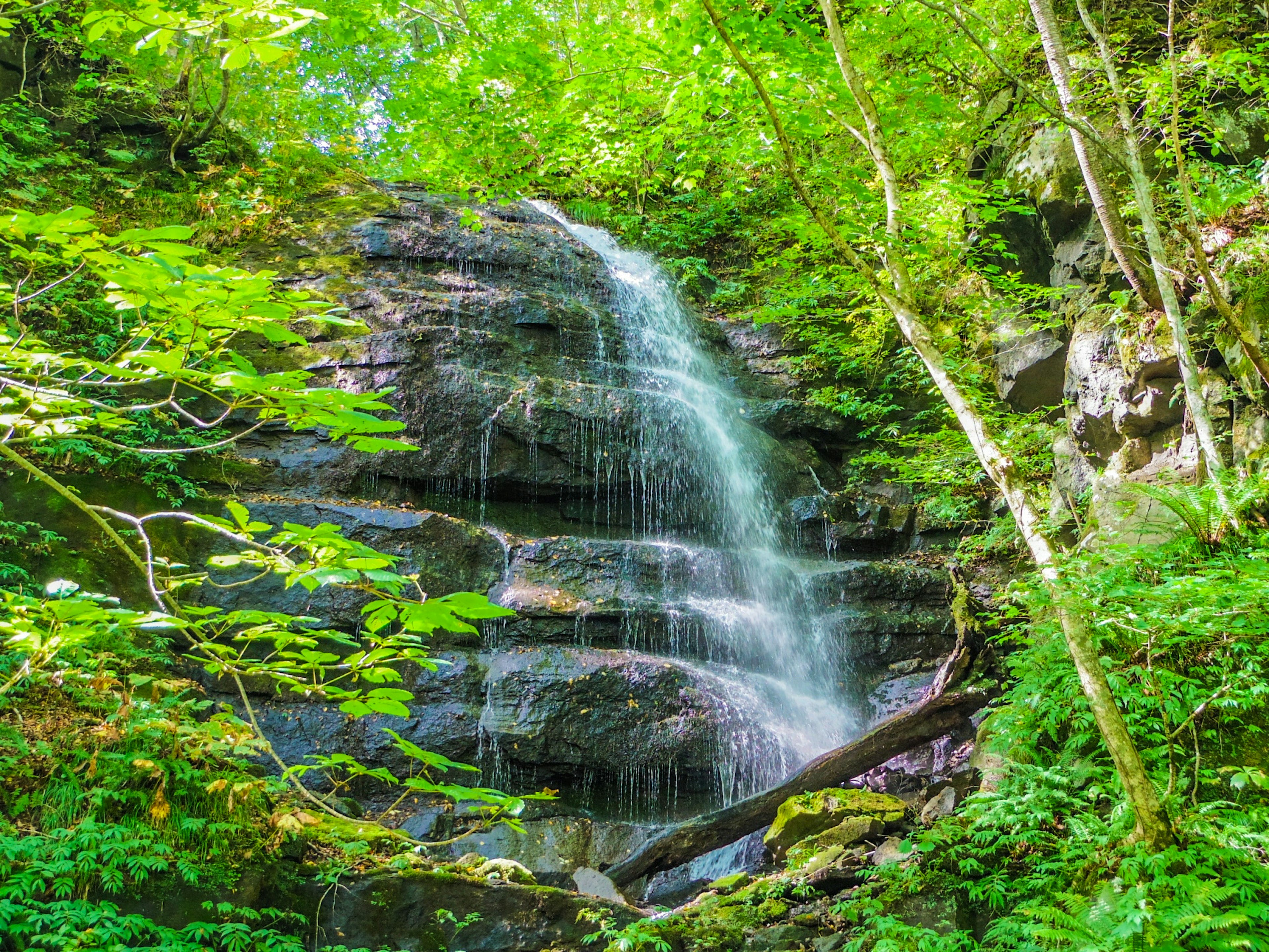 Ein schöner Wasserfall umgeben von üppigem Grün Wasser, das über Felsen fließt