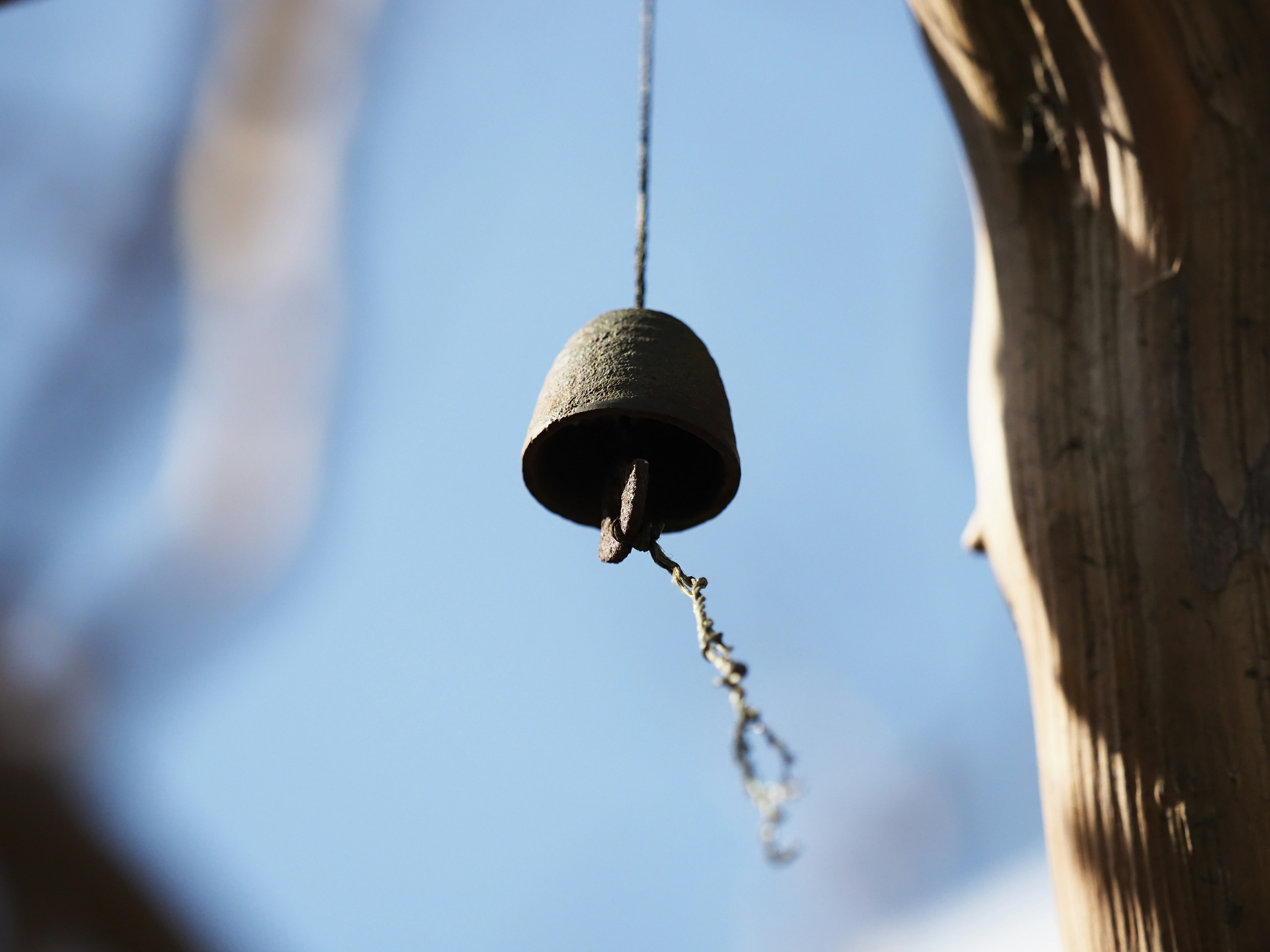 Una campana nera appesa a un ramo di albero contro un cielo blu