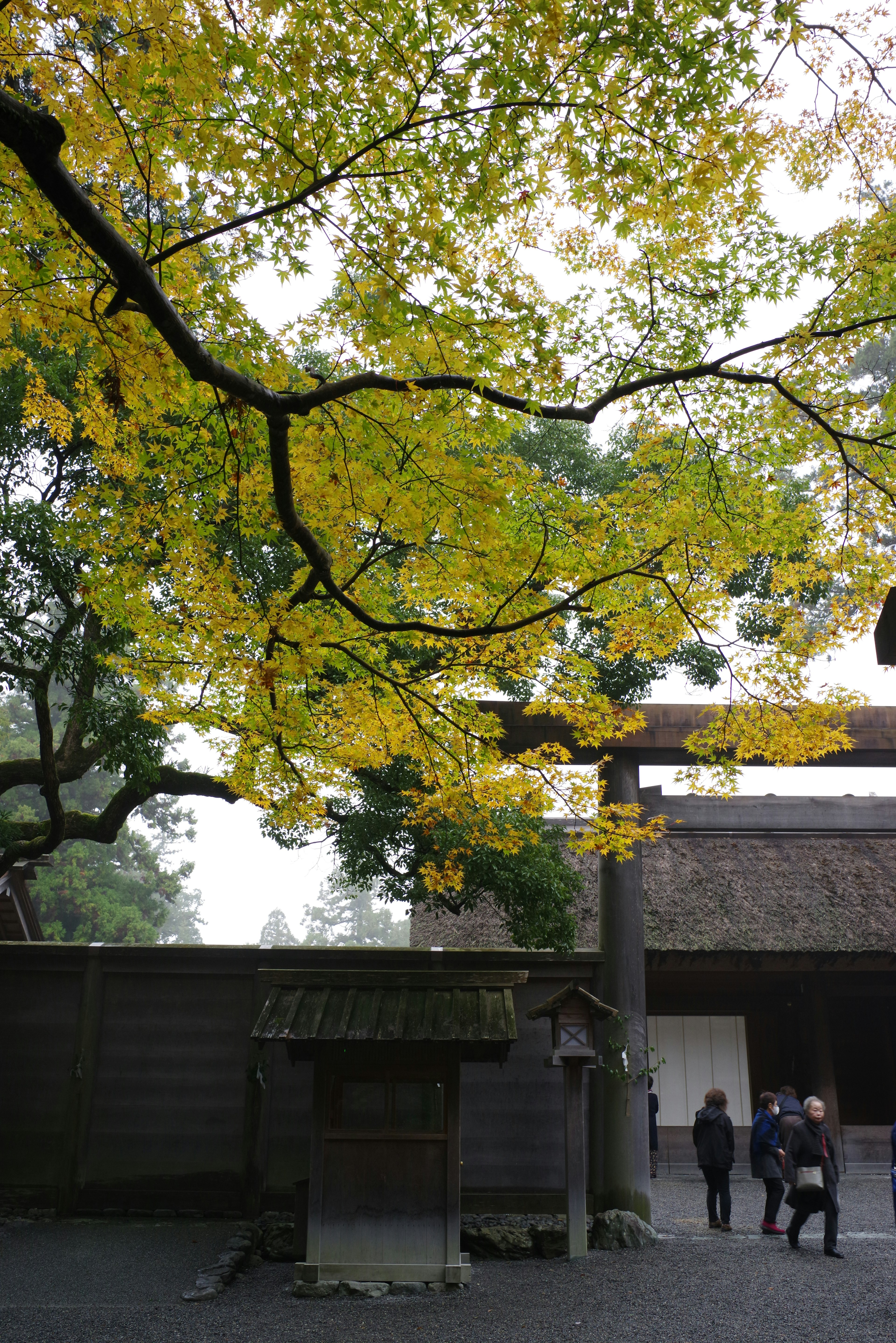 Vue pittoresque de feuilles d'automne jaunes avec des personnes marchant