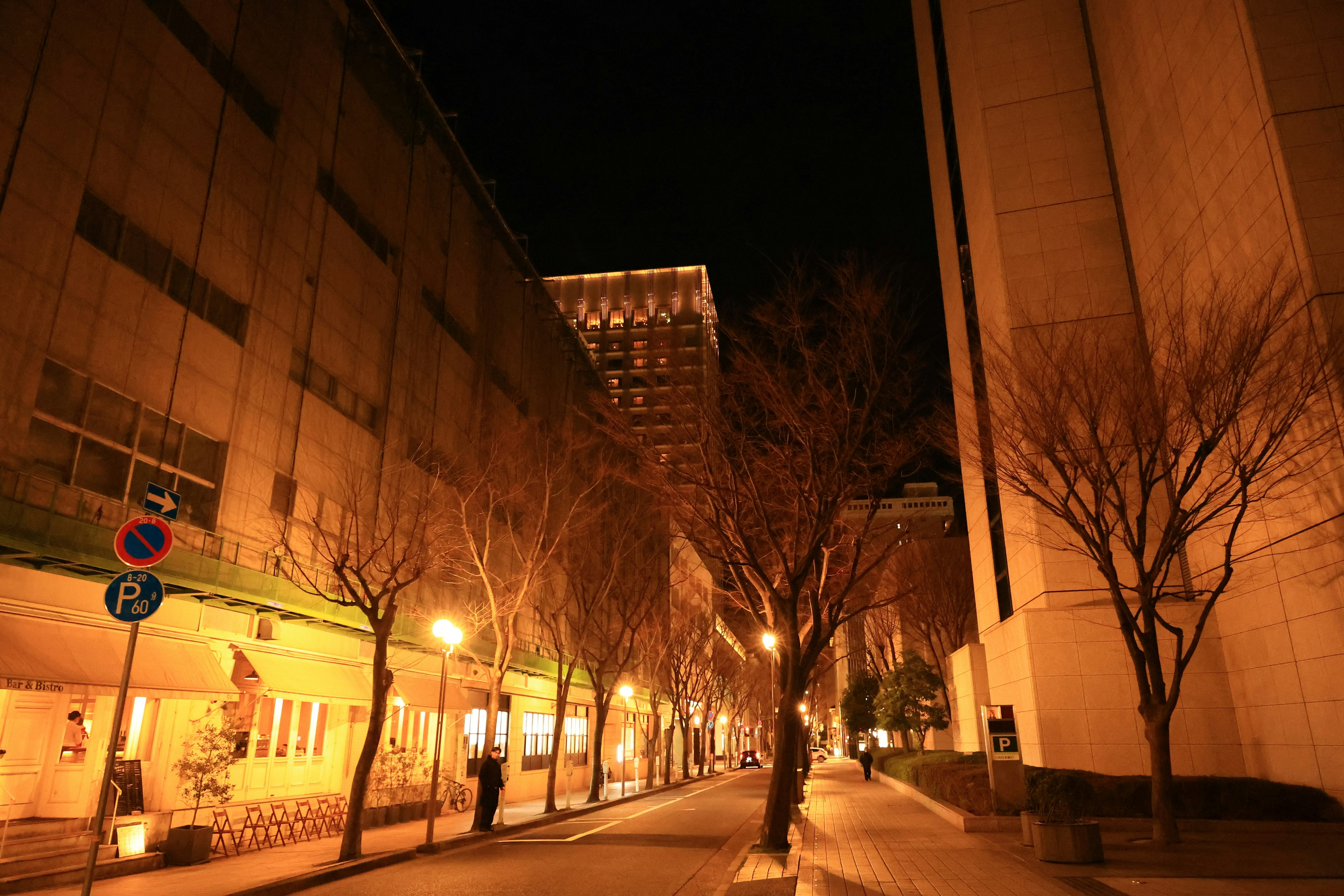 Scène de rue nocturne avec des arbres nus et des lampadaires