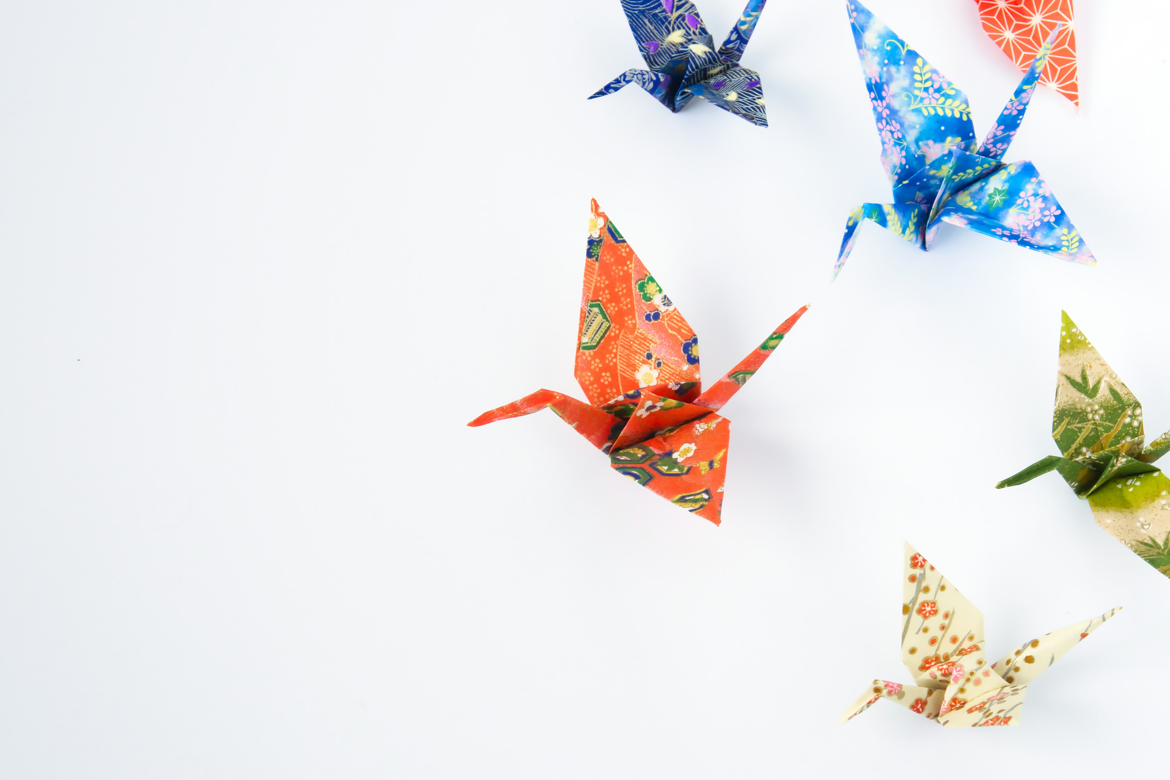 Colorful origami cranes arranged against a white background