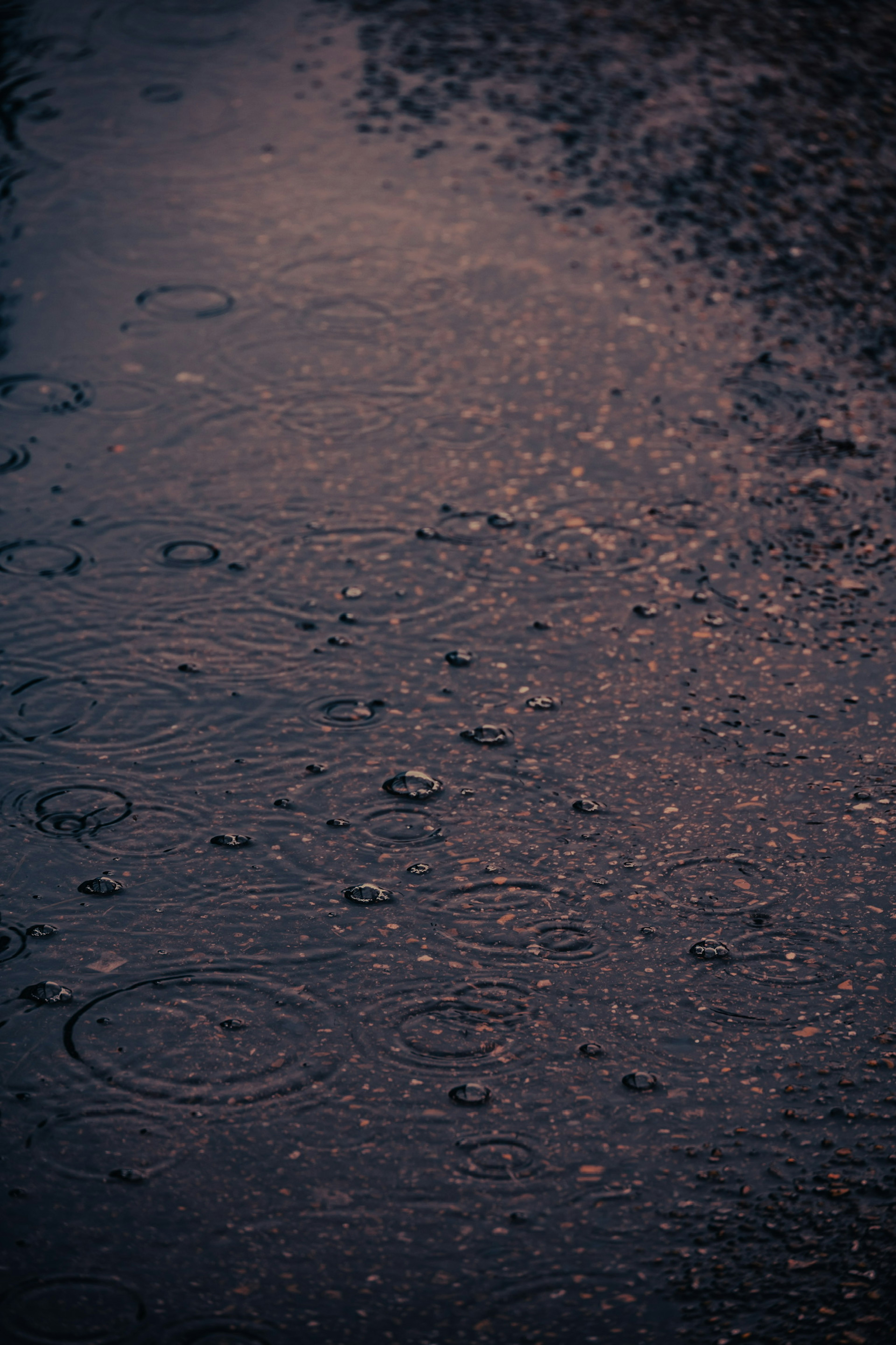 Camino oscuro con gotas de lluvia creando ondas en los charcos