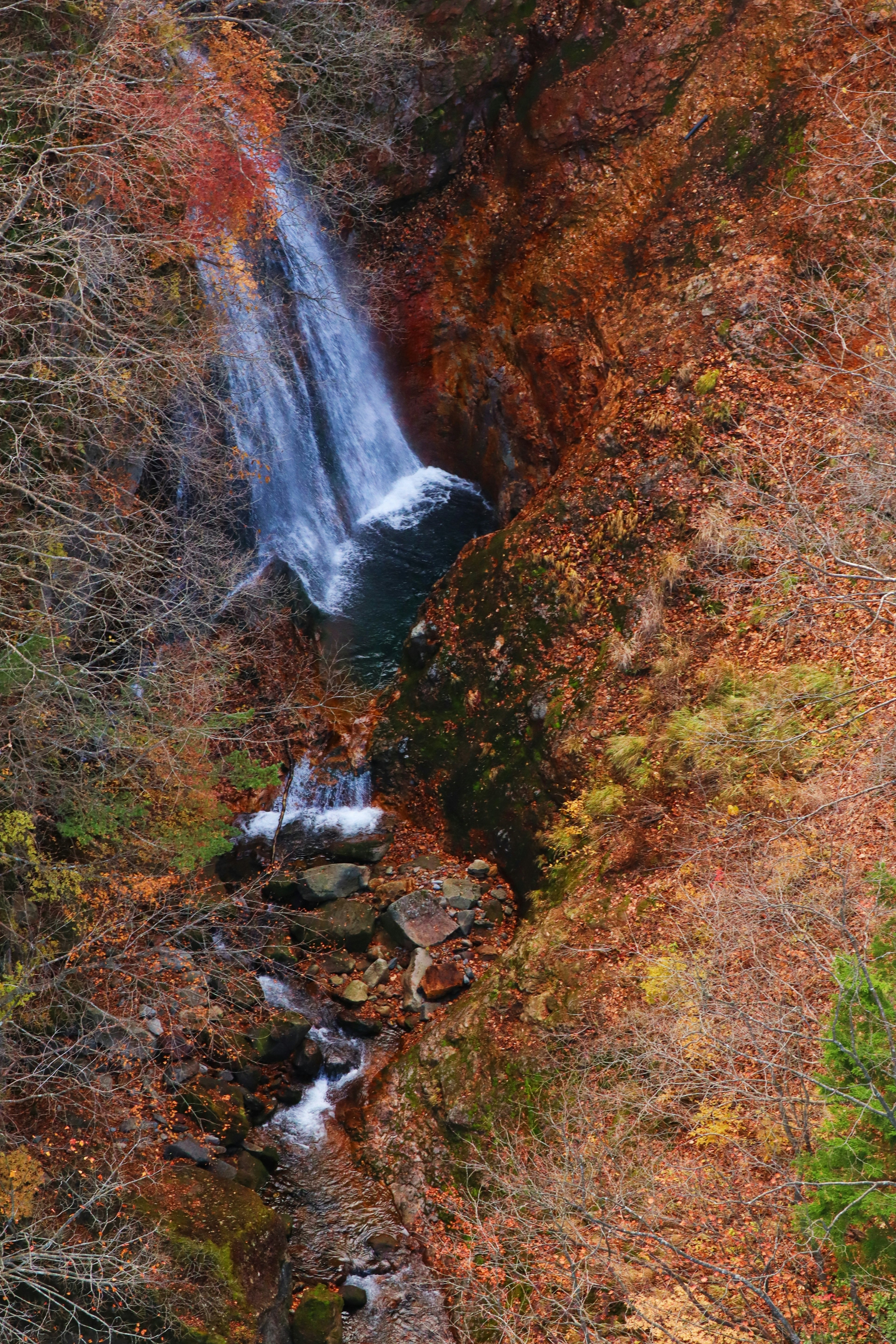 Bellissima cascata circondata da foglie autunnali