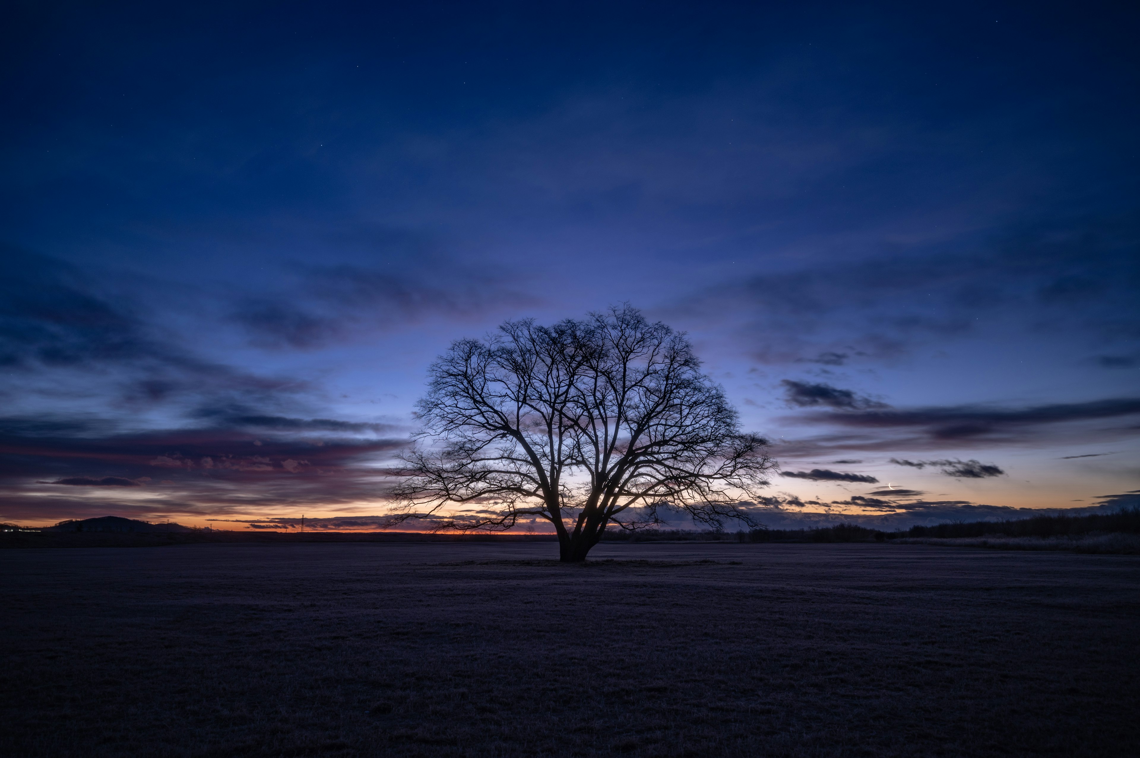 Ein einsamer Baum silhouettiert vor einem Dämmerungshimmel