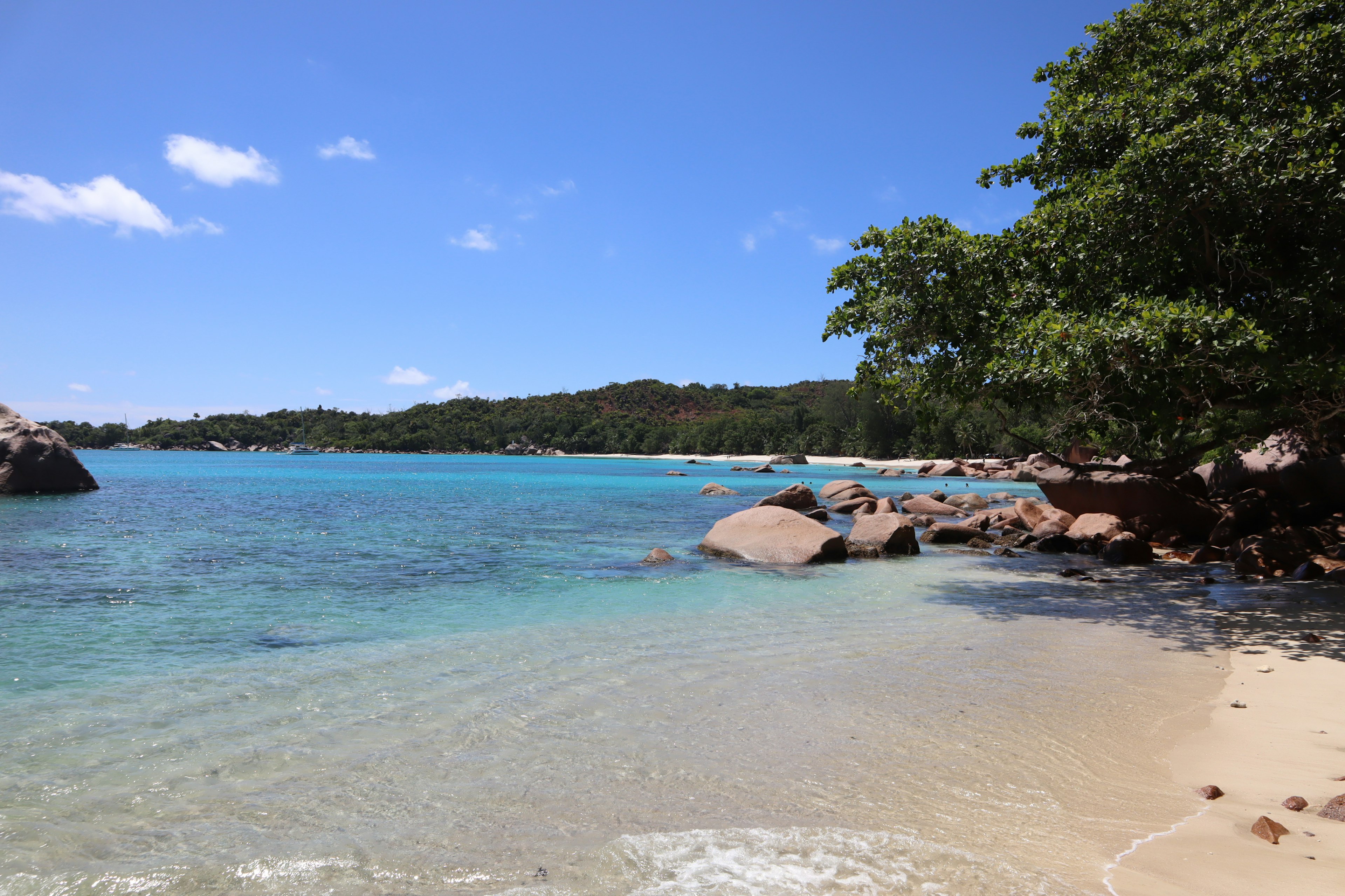 Beautiful beach scene with blue sea, rocks, and lush green trees