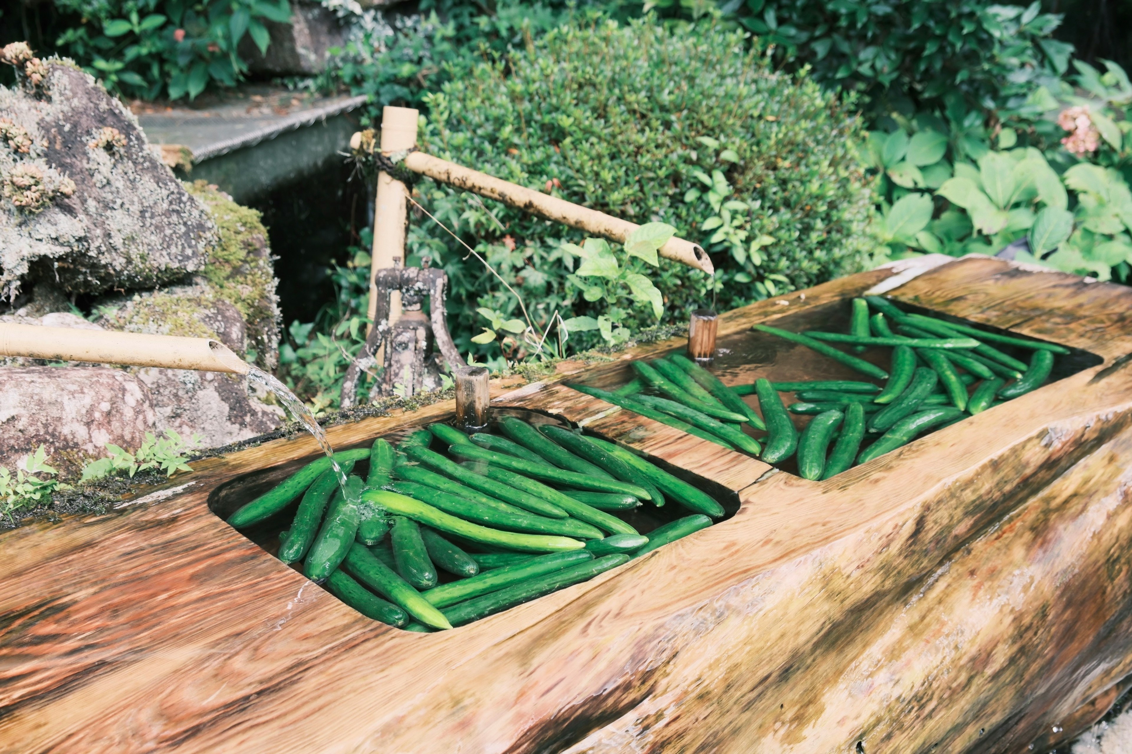 Imagen de verduras verdes dispuestas en recipientes de madera