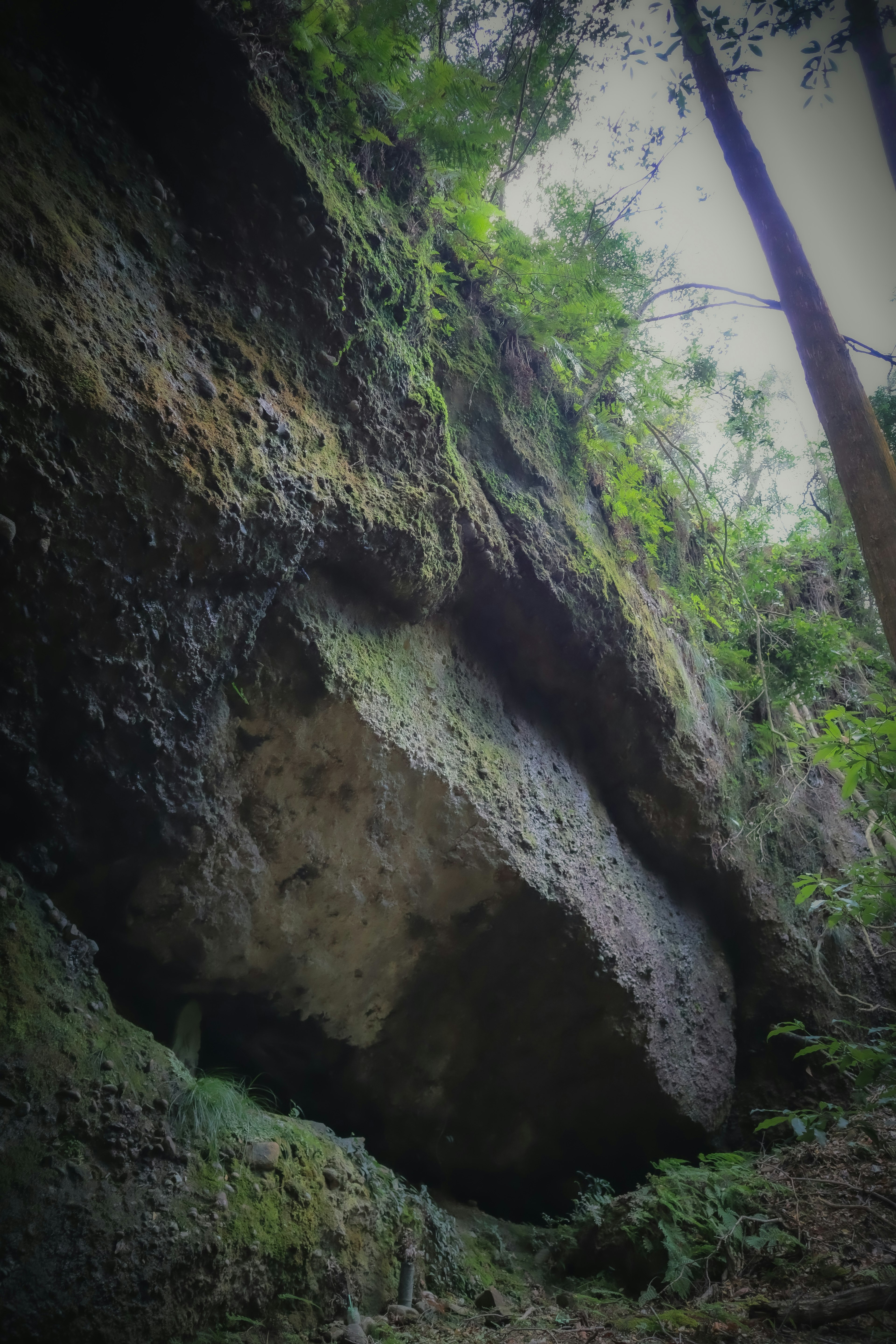 Foto batu besar dikelilingi pohon hijau