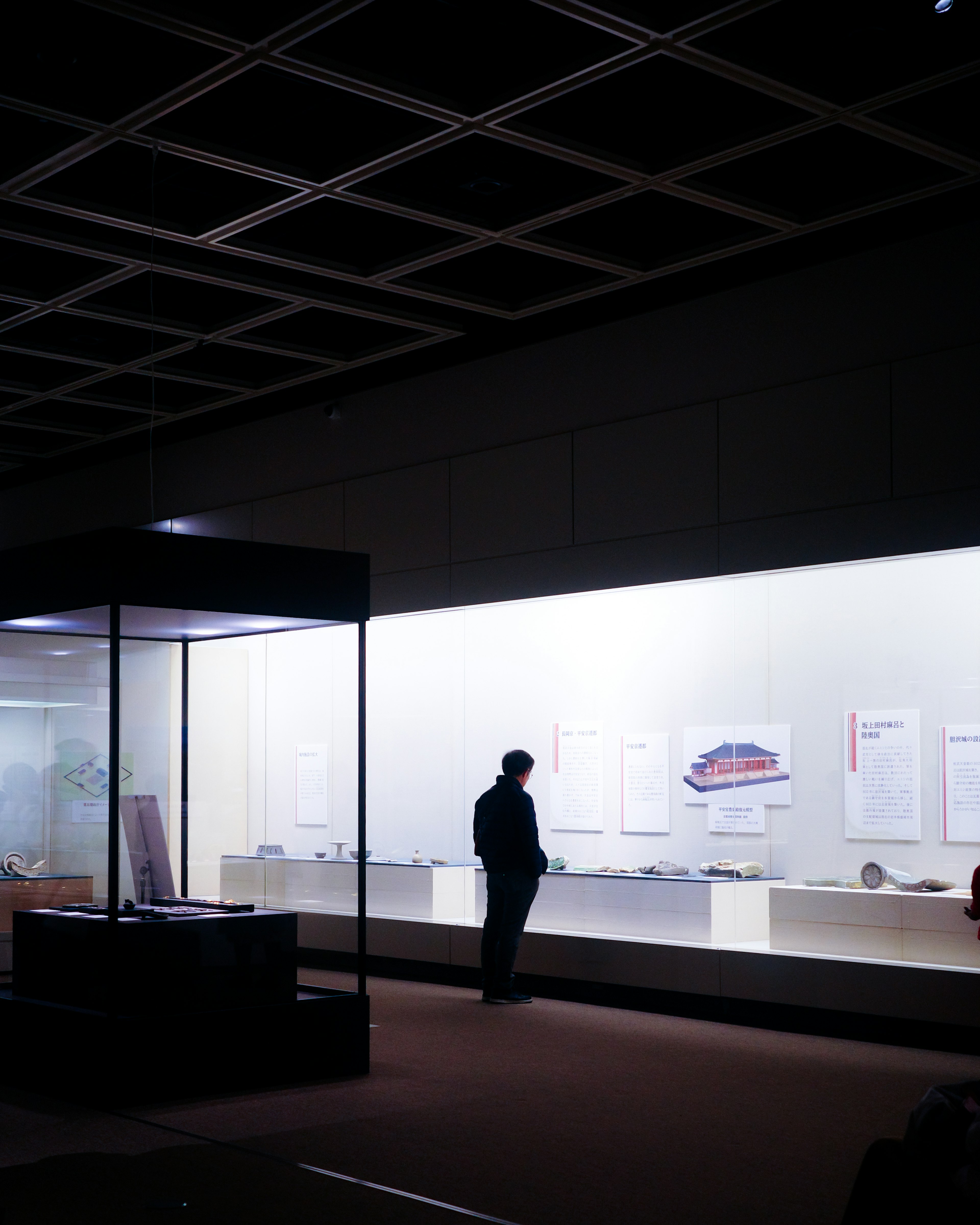 Silhouette d'un homme observant des expositions dans une galerie