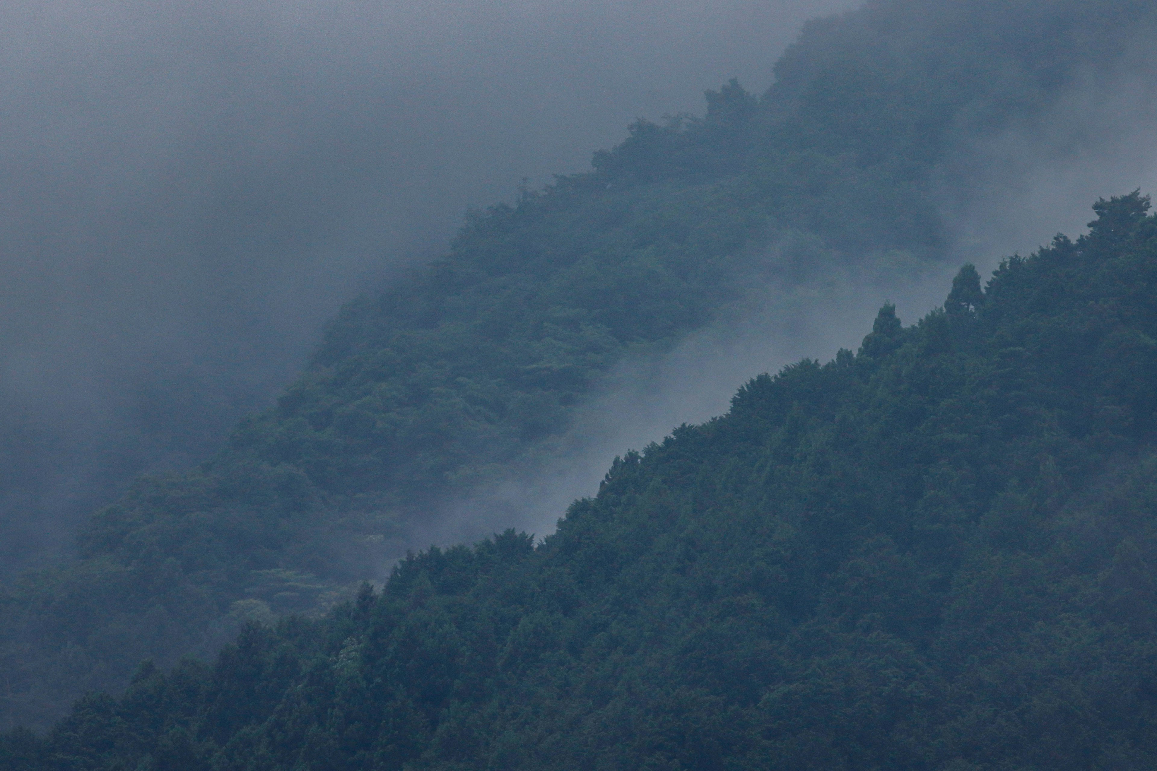 Vista brumosa de montañas verdes envueltas en niebla