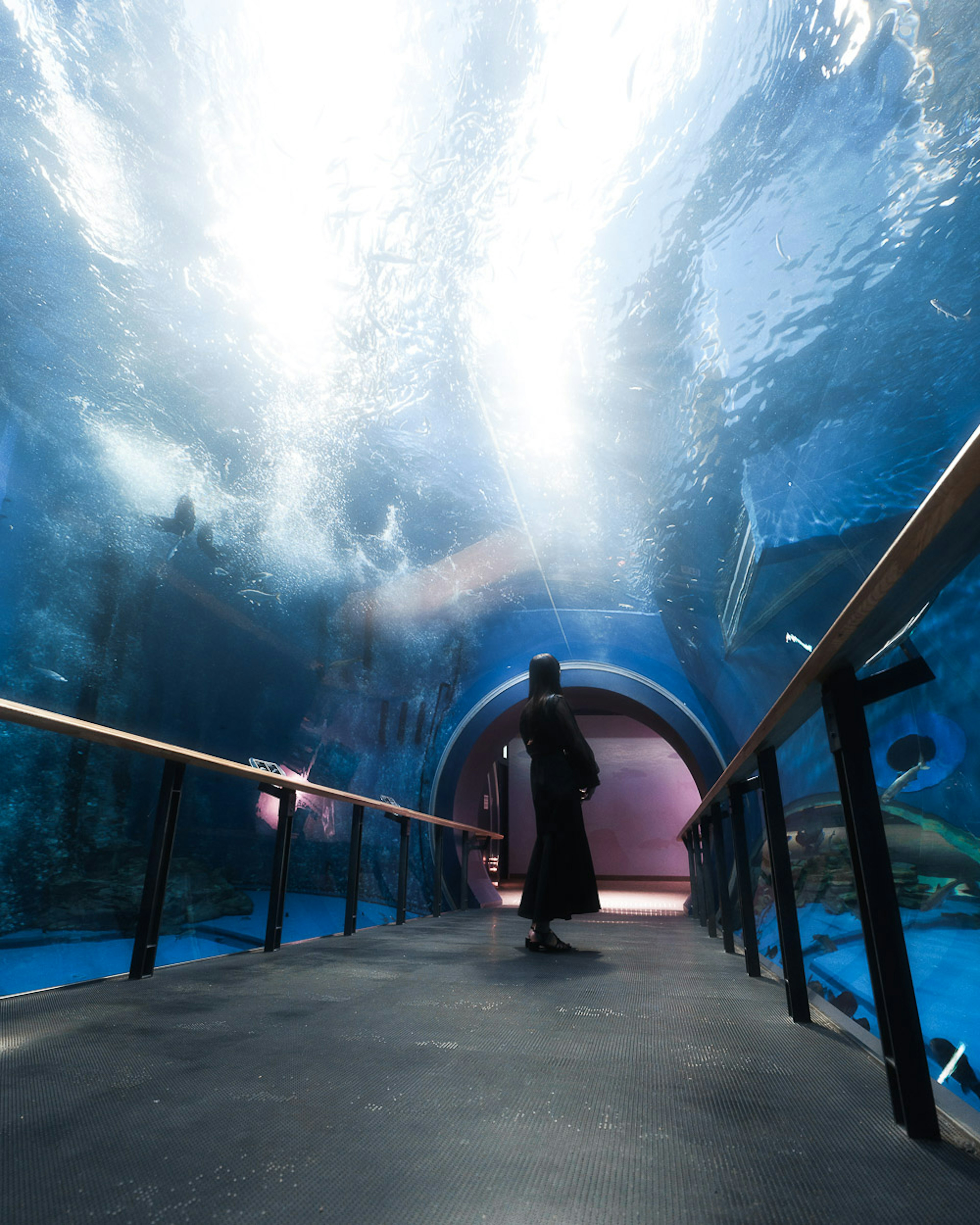 Silhouette d'une personne debout dans un tunnel d'aquarium avec des reflets d'eau