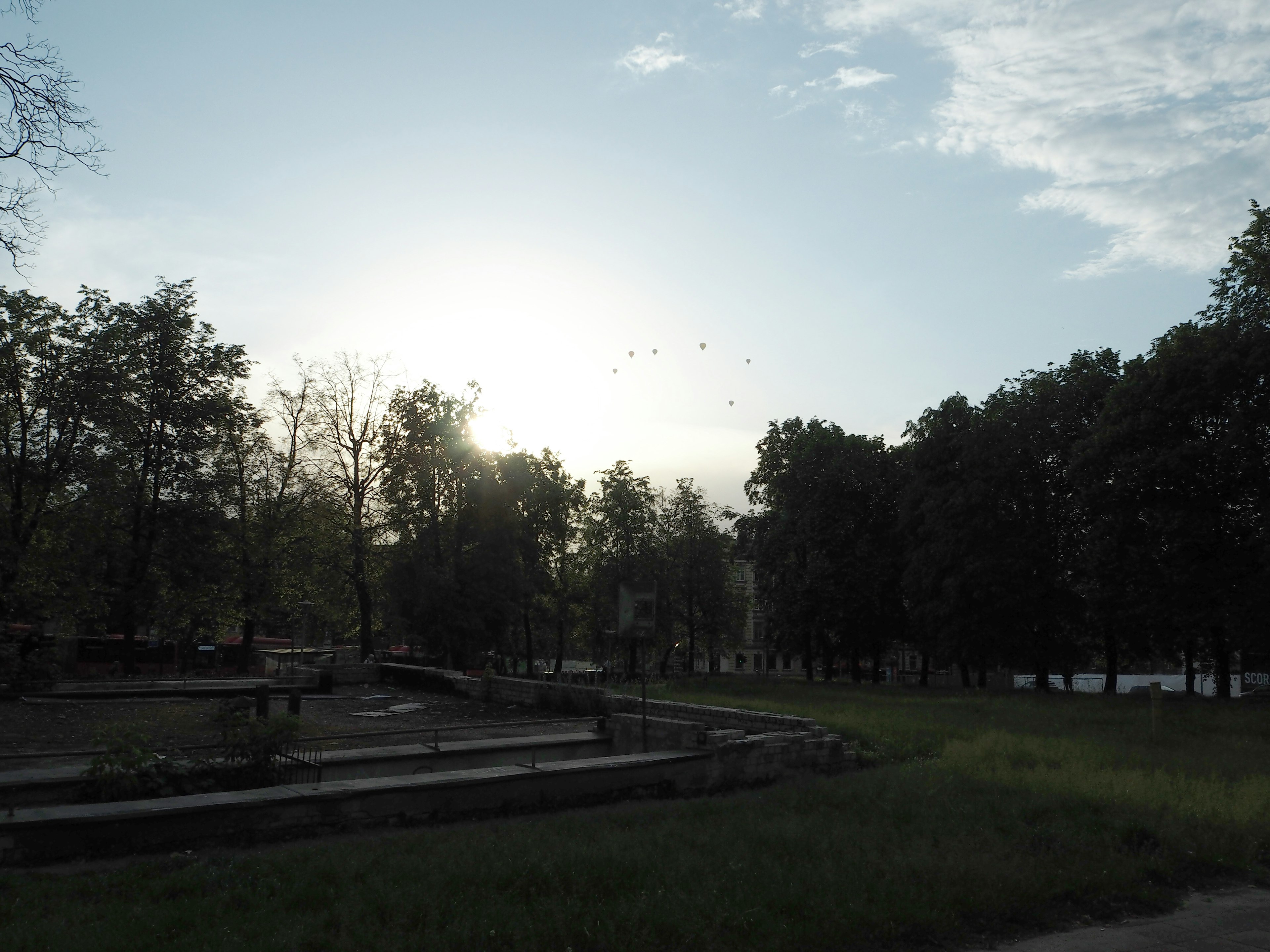 寧靜的公園景觀，日出，樹木和草地