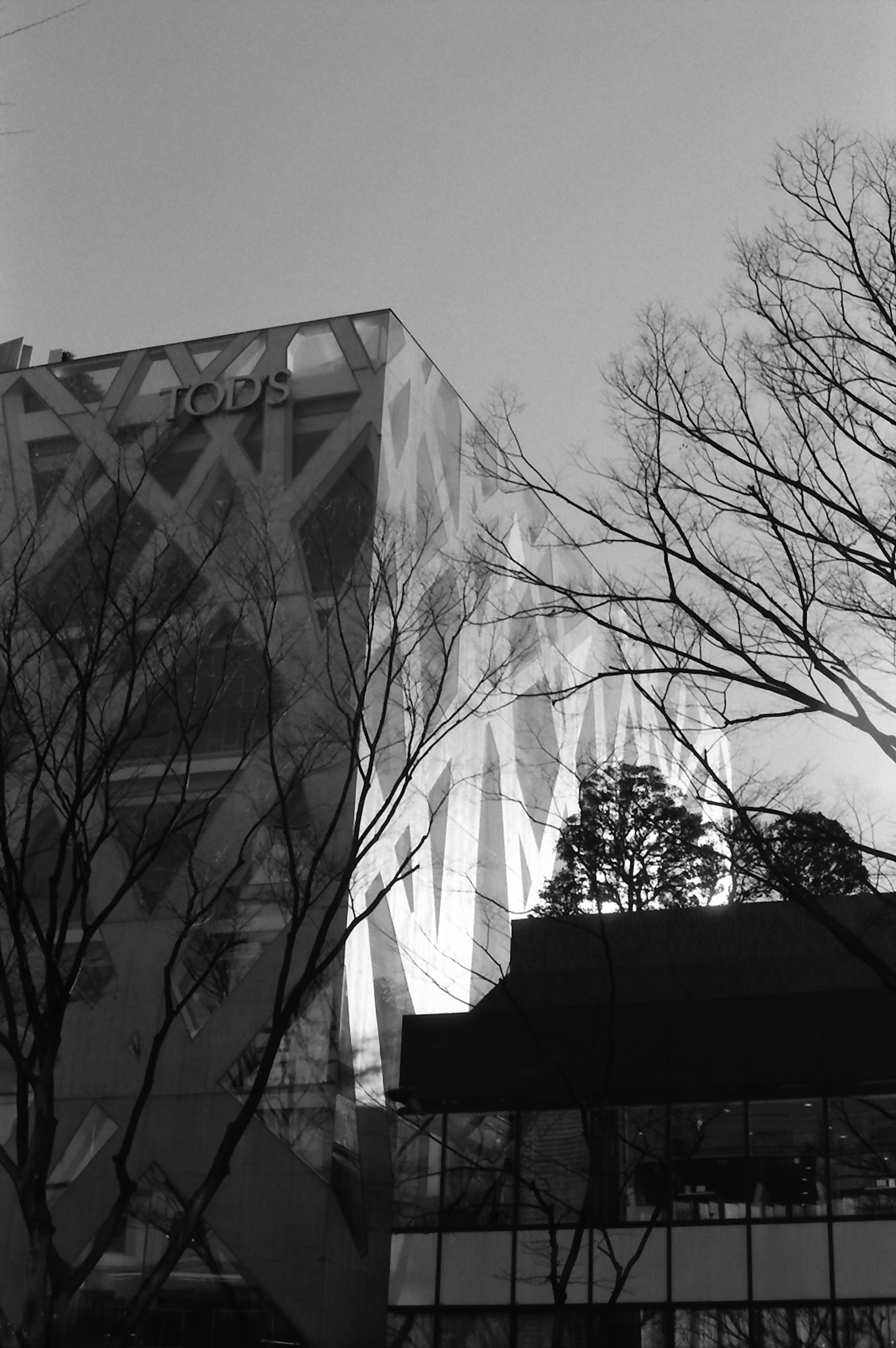 Scena urbana in bianco e nero con un edificio moderno e silhouette di alberi