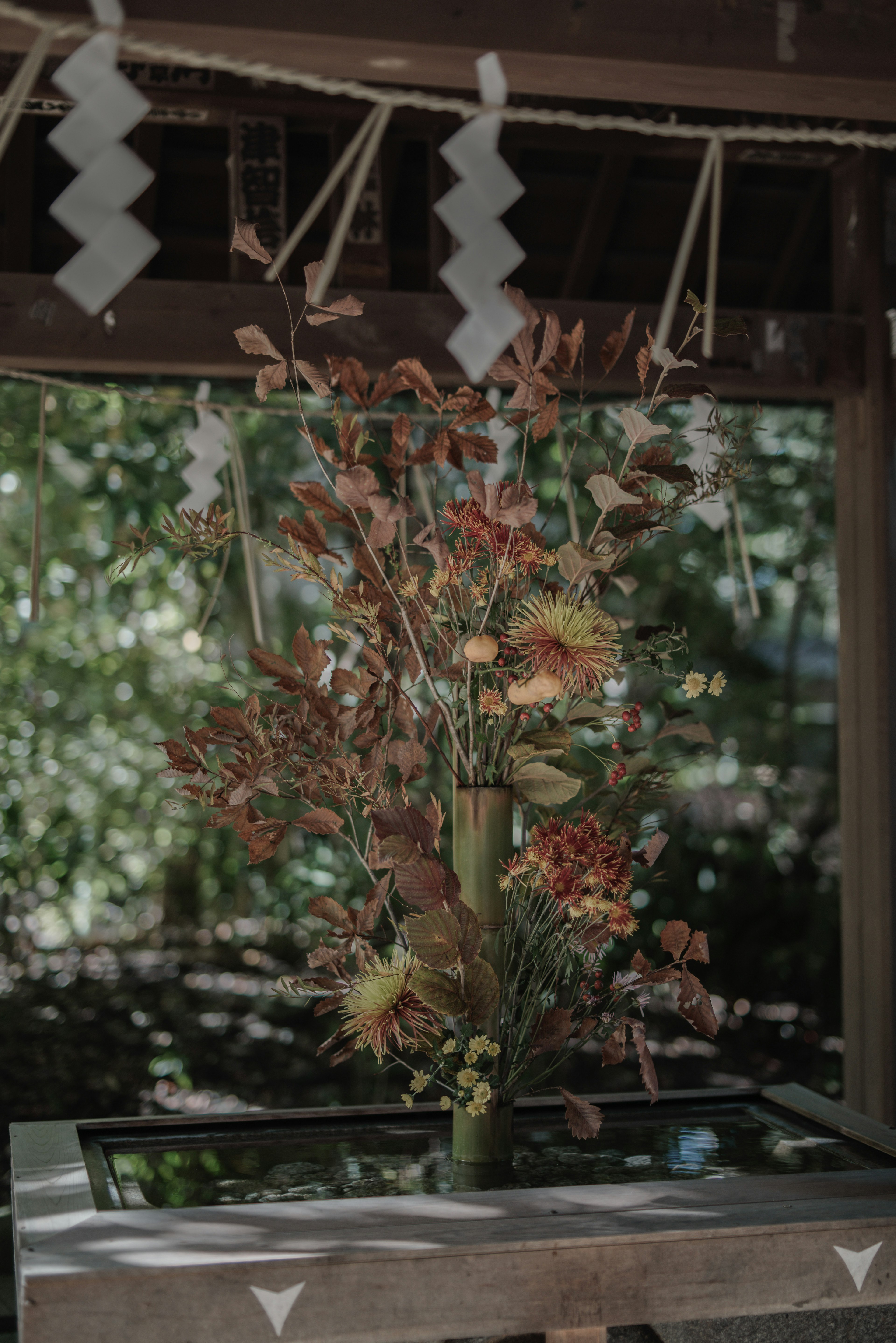 木製の台に飾られた色とりどりの花と葉のアレンジメント背景には緑の自然が広がる