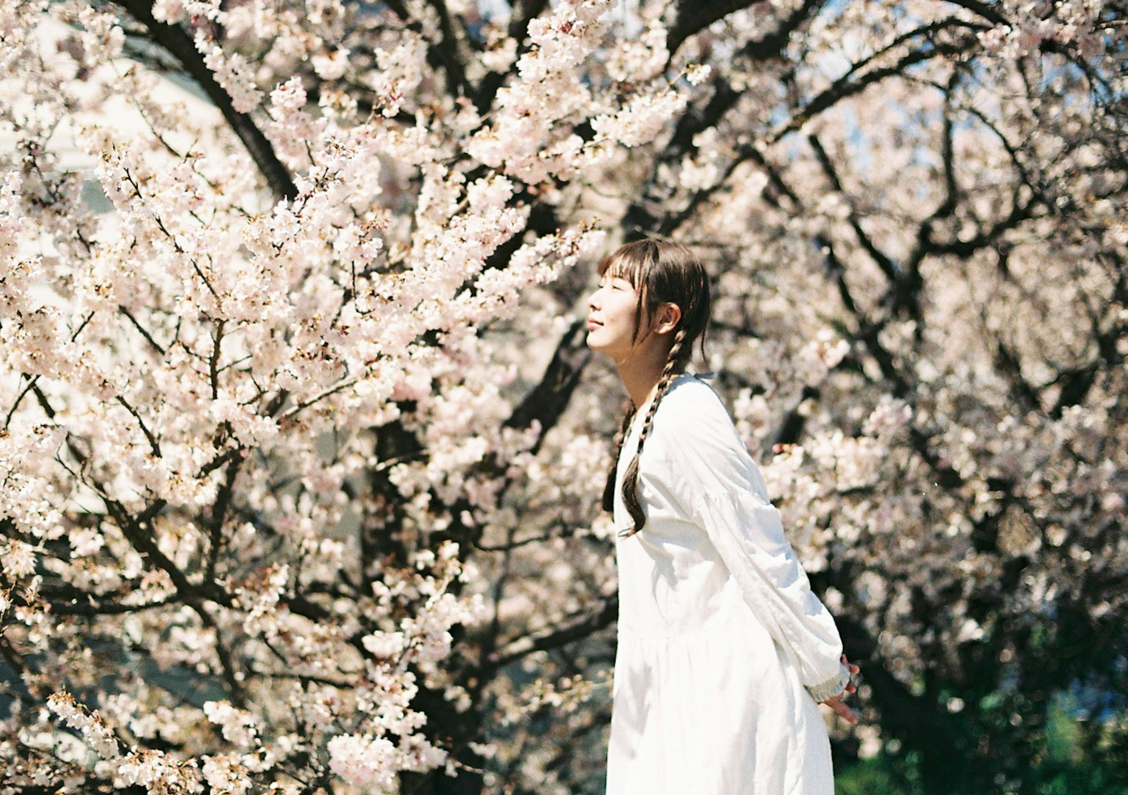 Woman in white dress smiling in front of cherry blossom tree