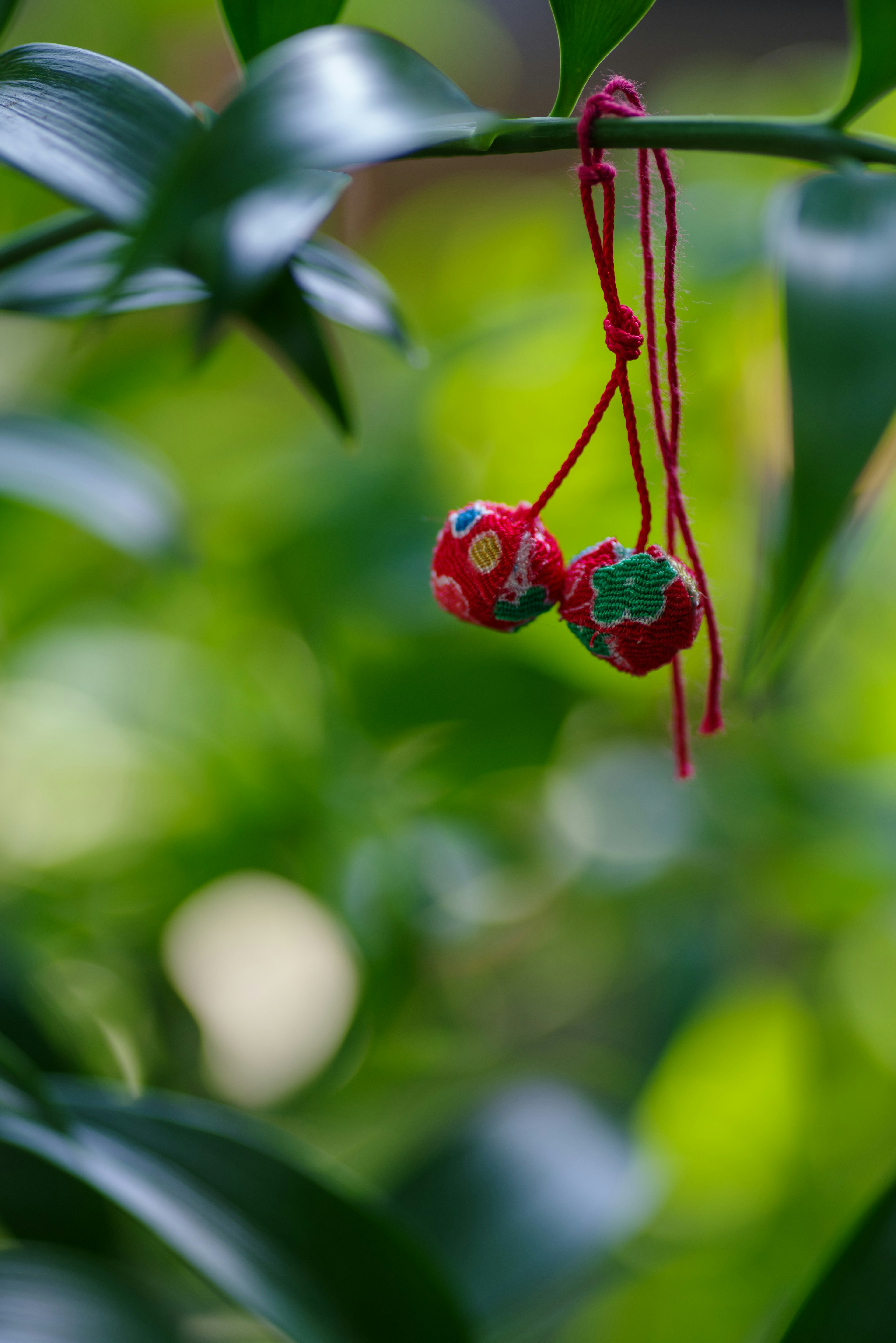 Dua bola dekoratif kecil merah menggantung dari cabang di latar belakang hijau