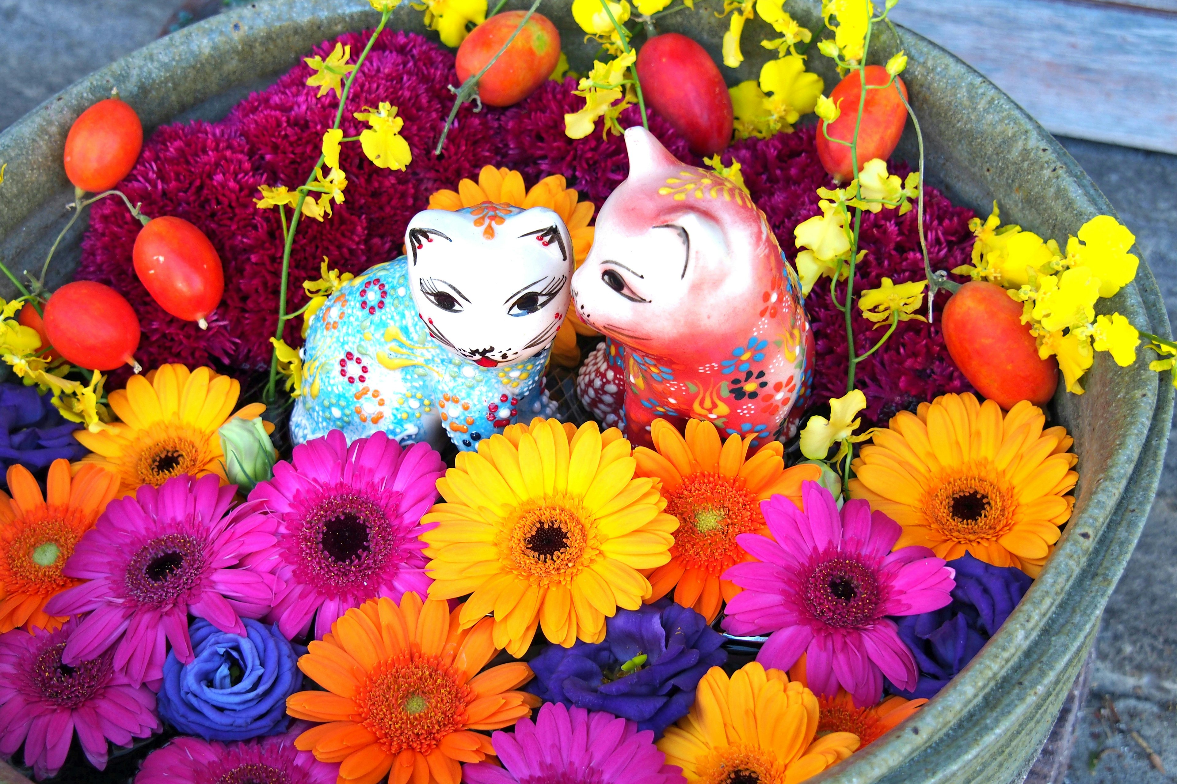 Bunte Blumen und Keramik-Katzenfiguren in einer Schüssel