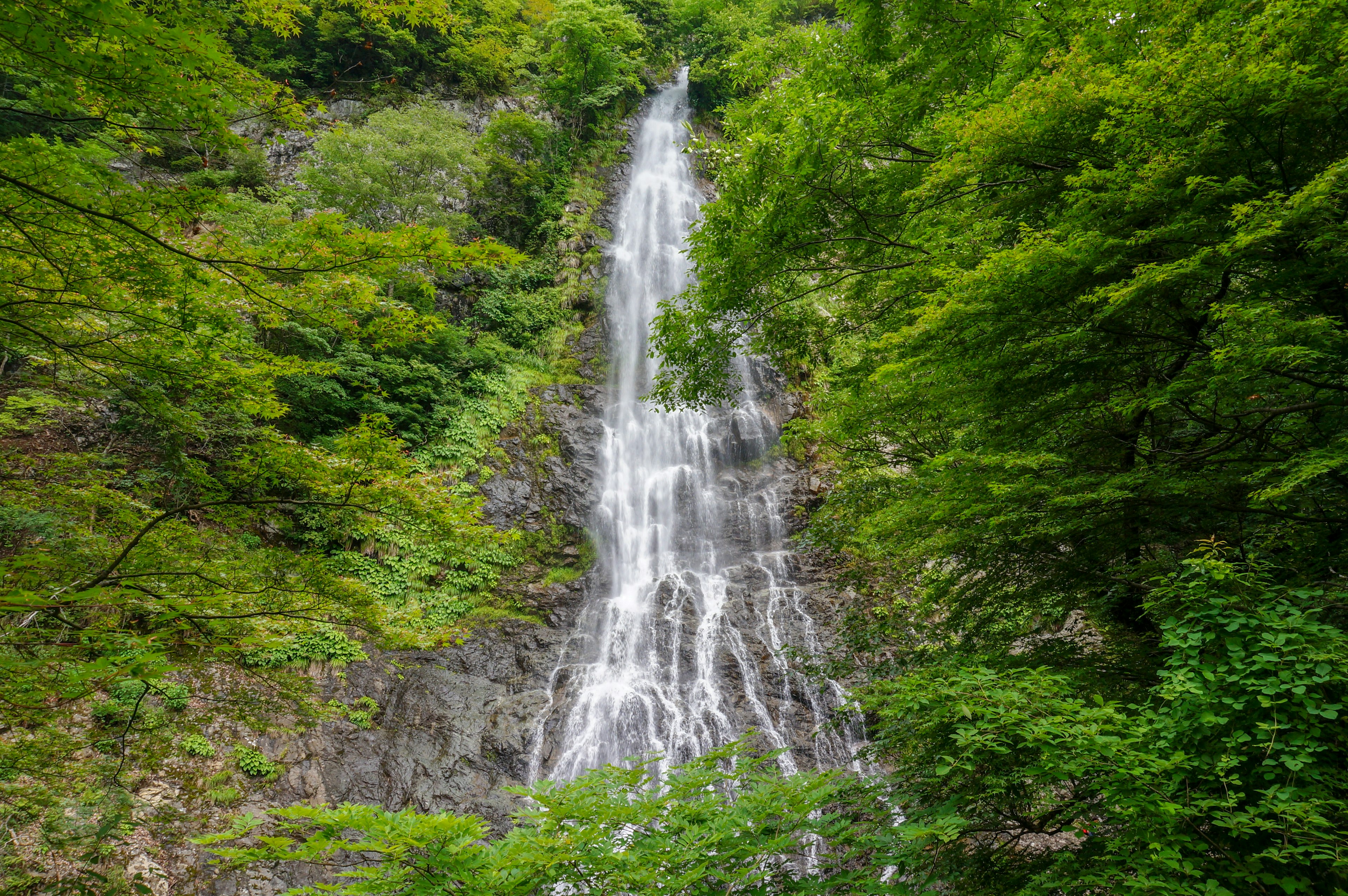 A scenic waterfall cascading through lush green mountains