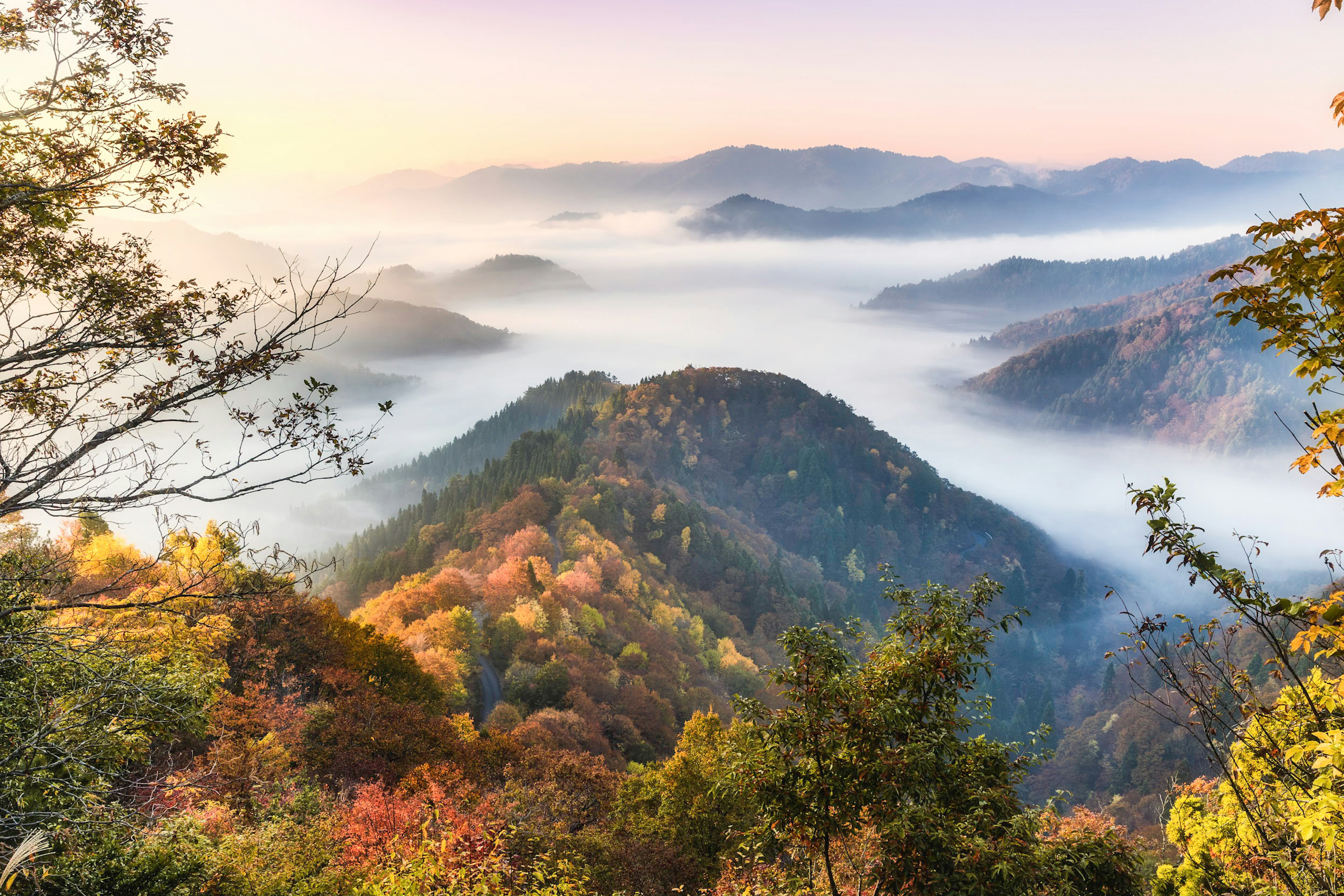 美しい秋の山々と霧に包まれた風景