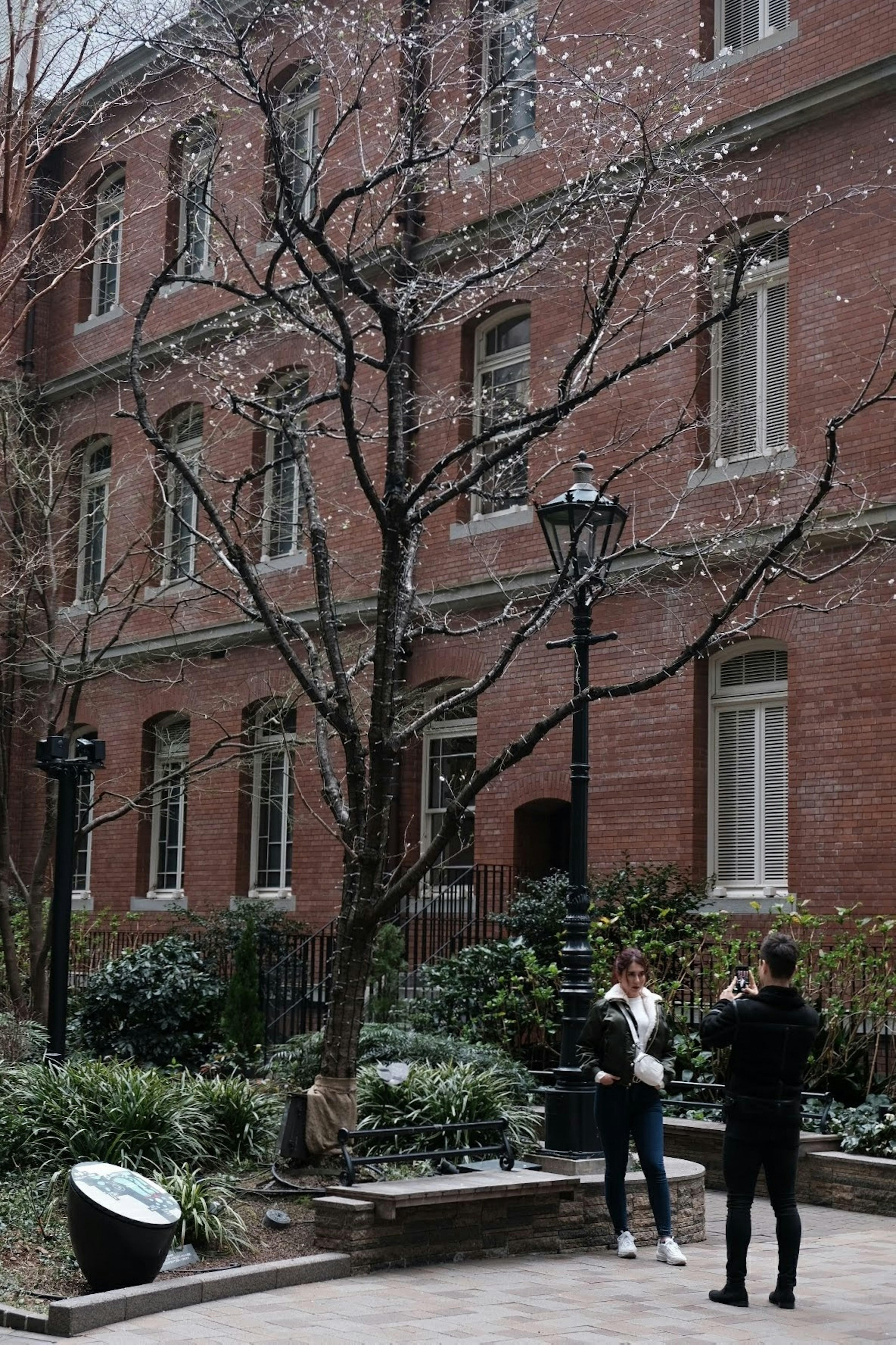 Two people standing in front of a cherry blossom tree near a red brick building