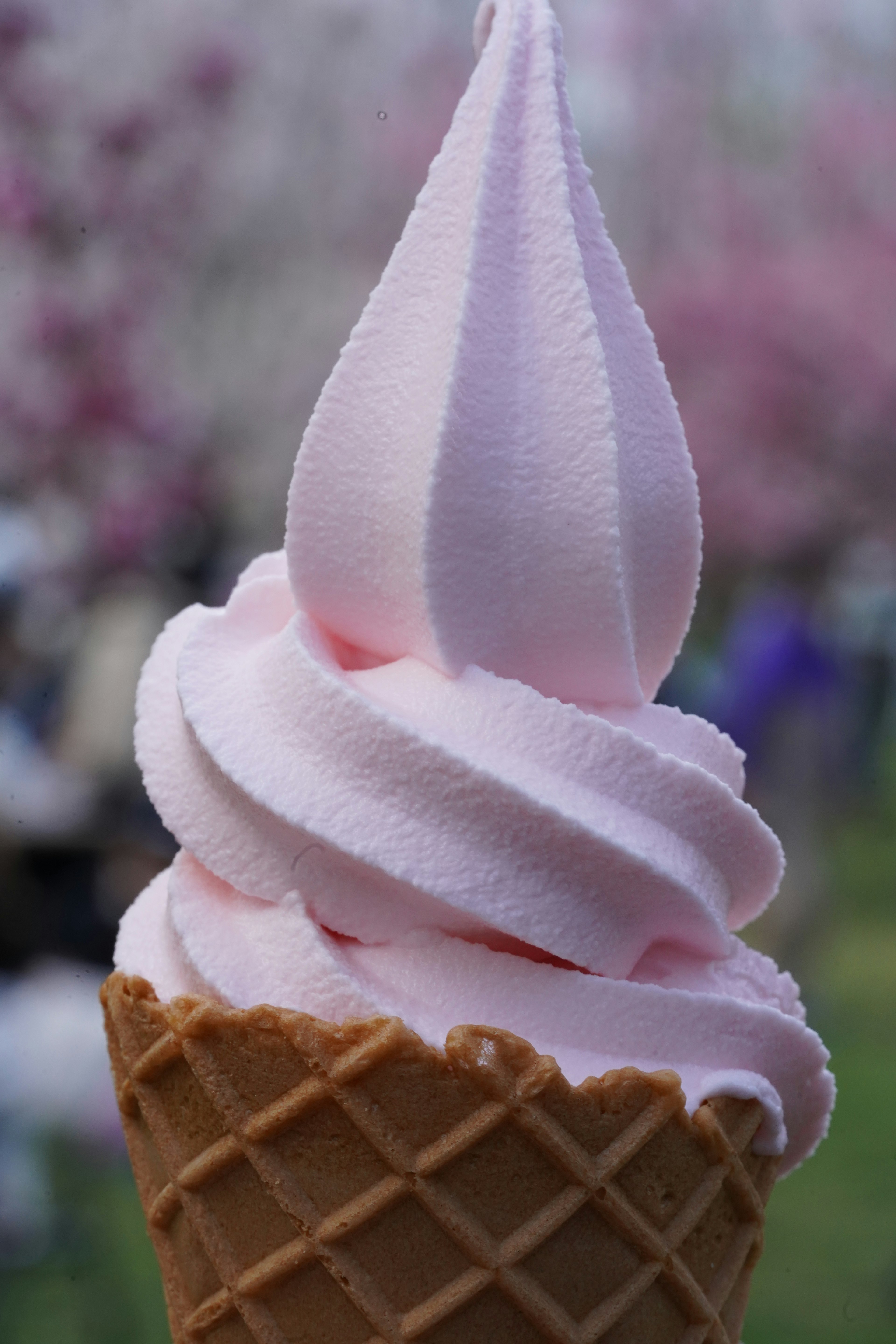 Rosa Softeis in einer Waffel