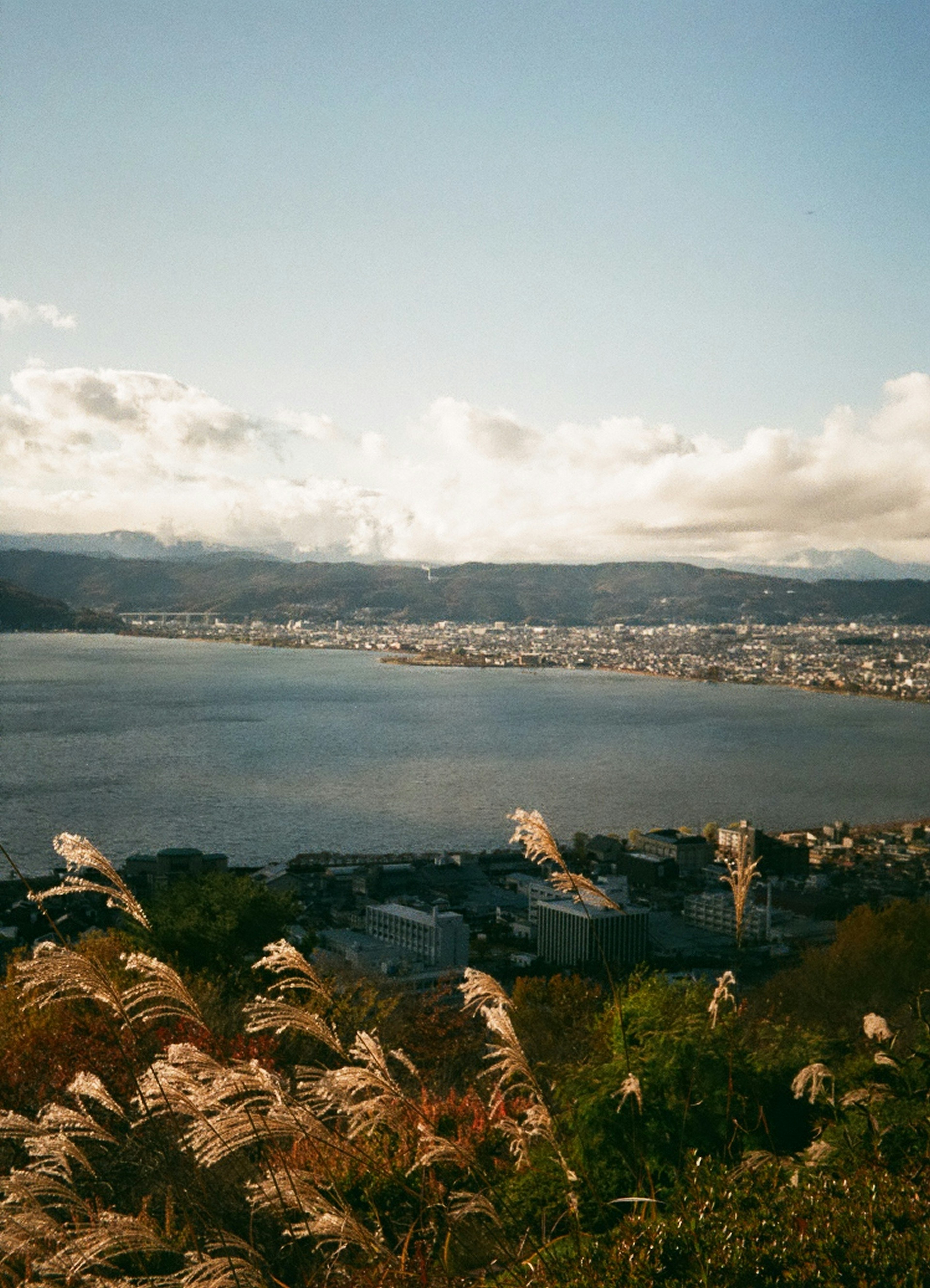 湖と山々を背景にした穏やかな風景の写真