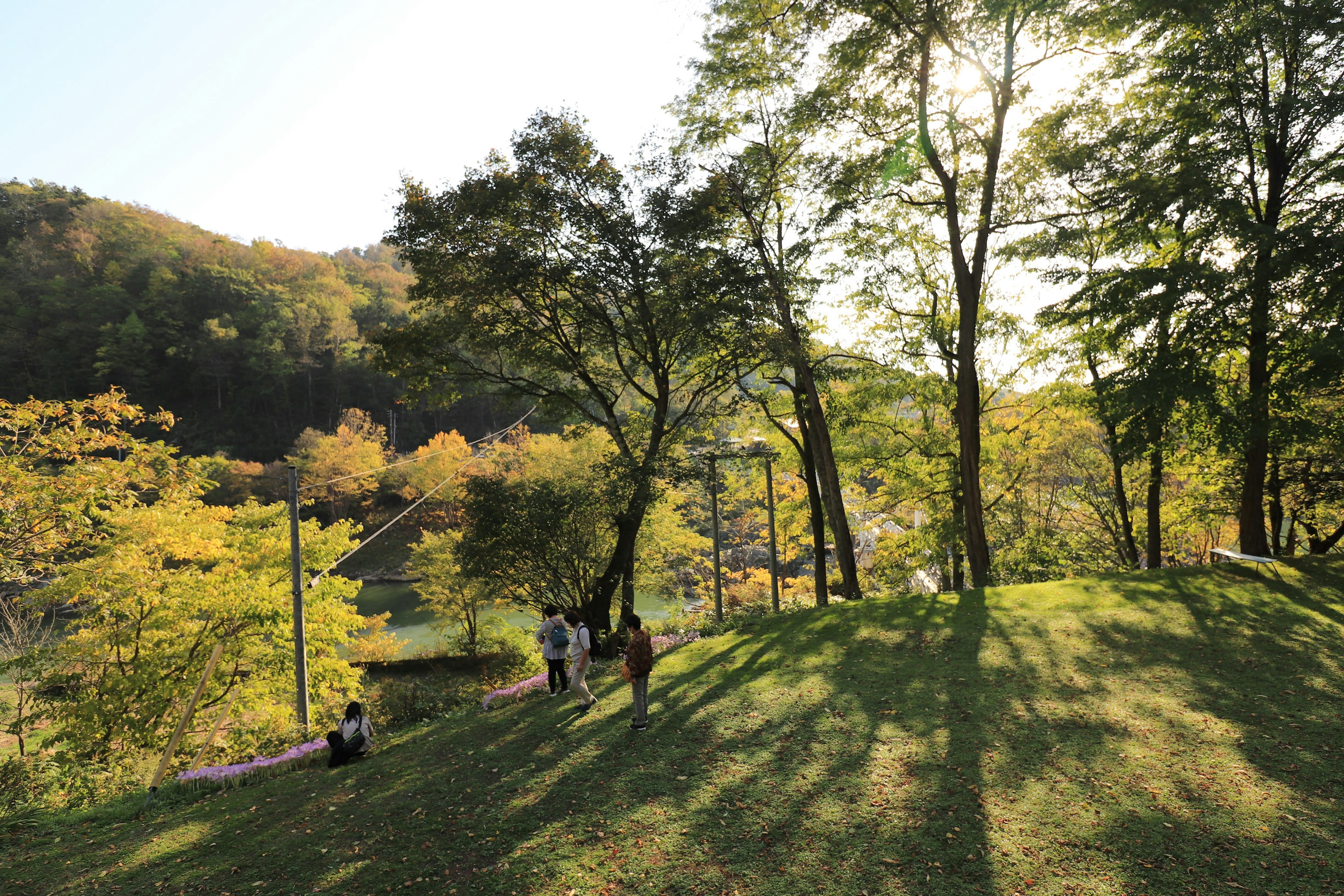 People enjoying a sunny day on a grassy hill surrounded by trees