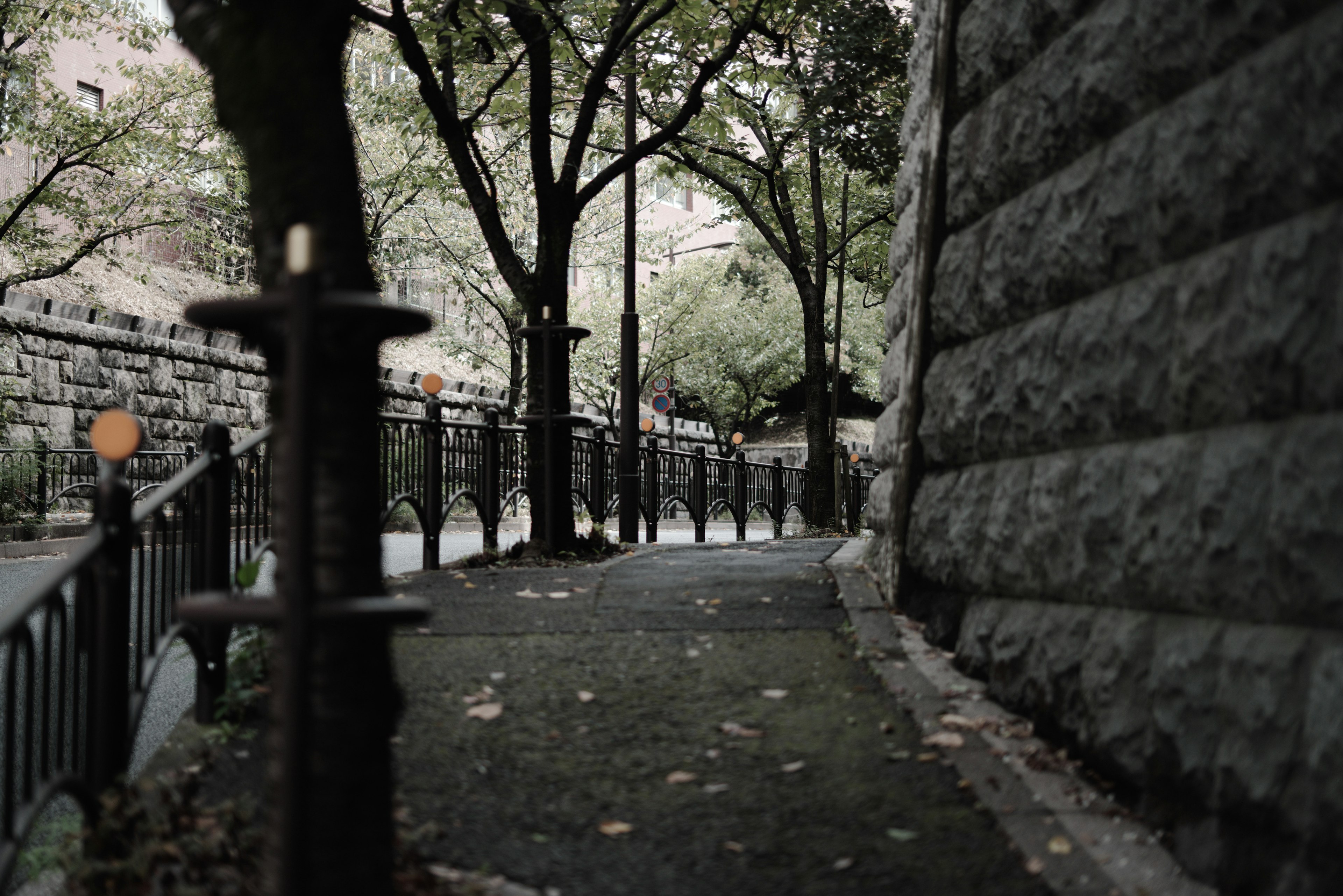 Quiet pathway surrounded by stone wall and trees